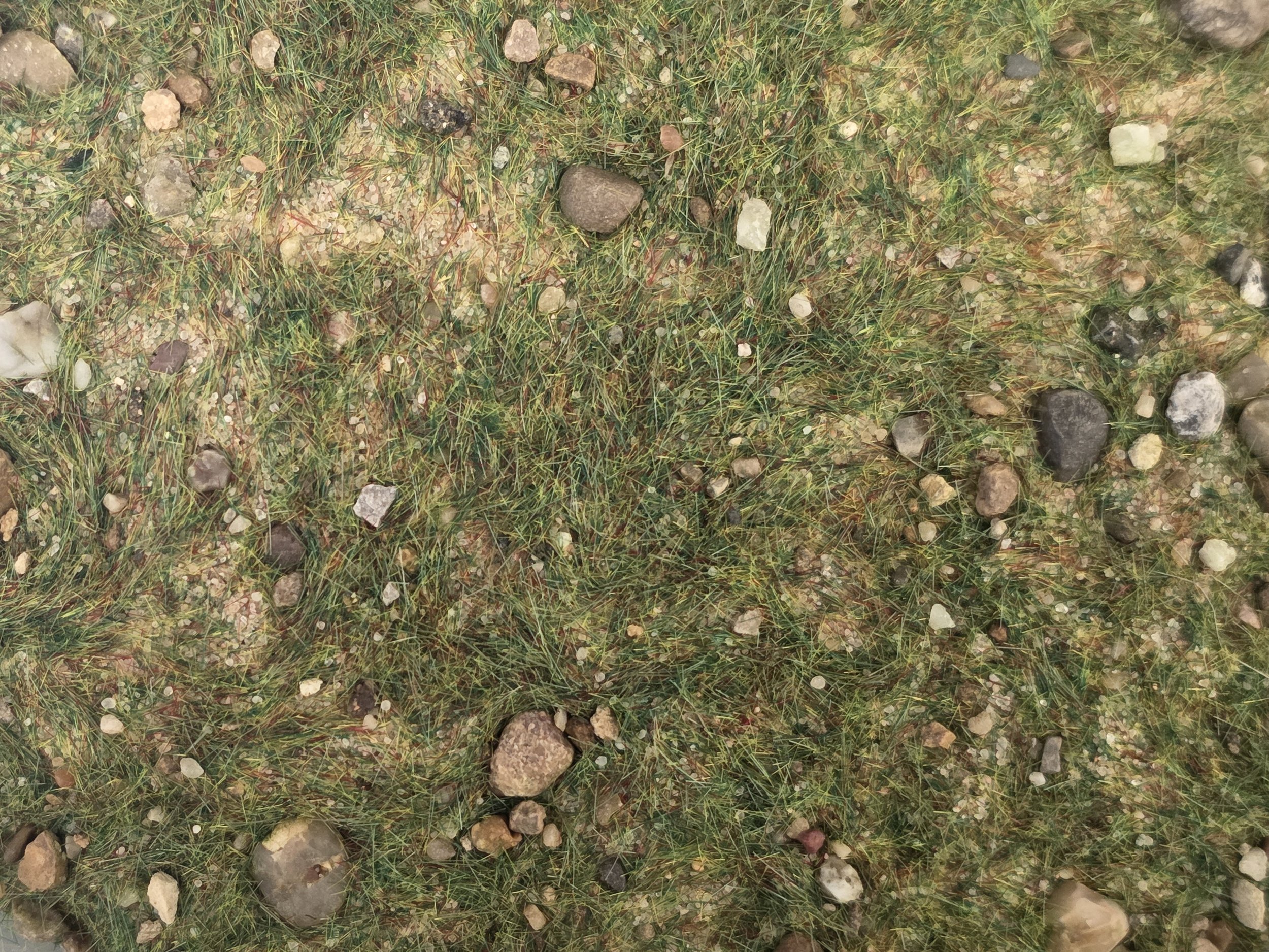 Mediterranean Soil