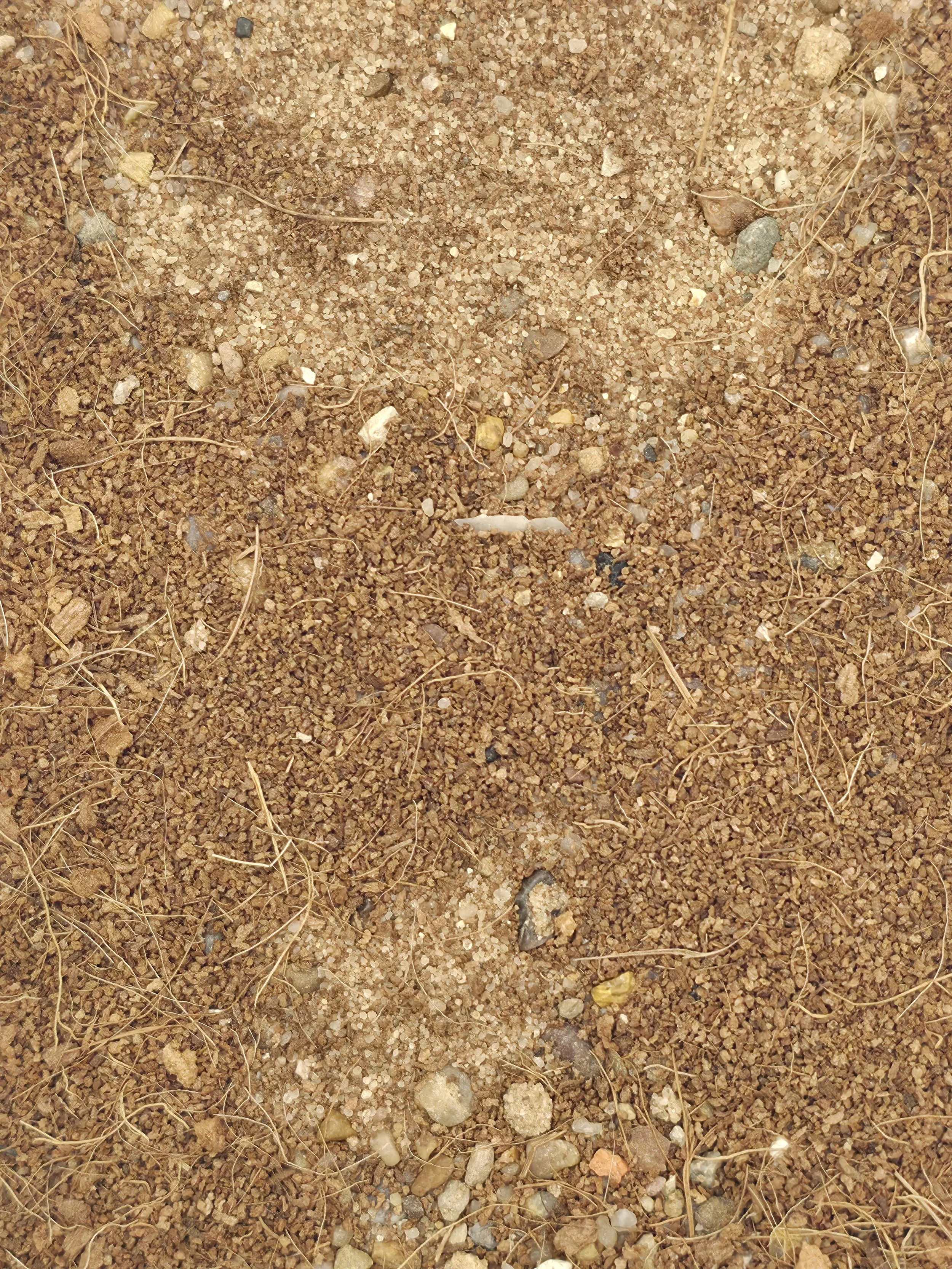 Fine Soils