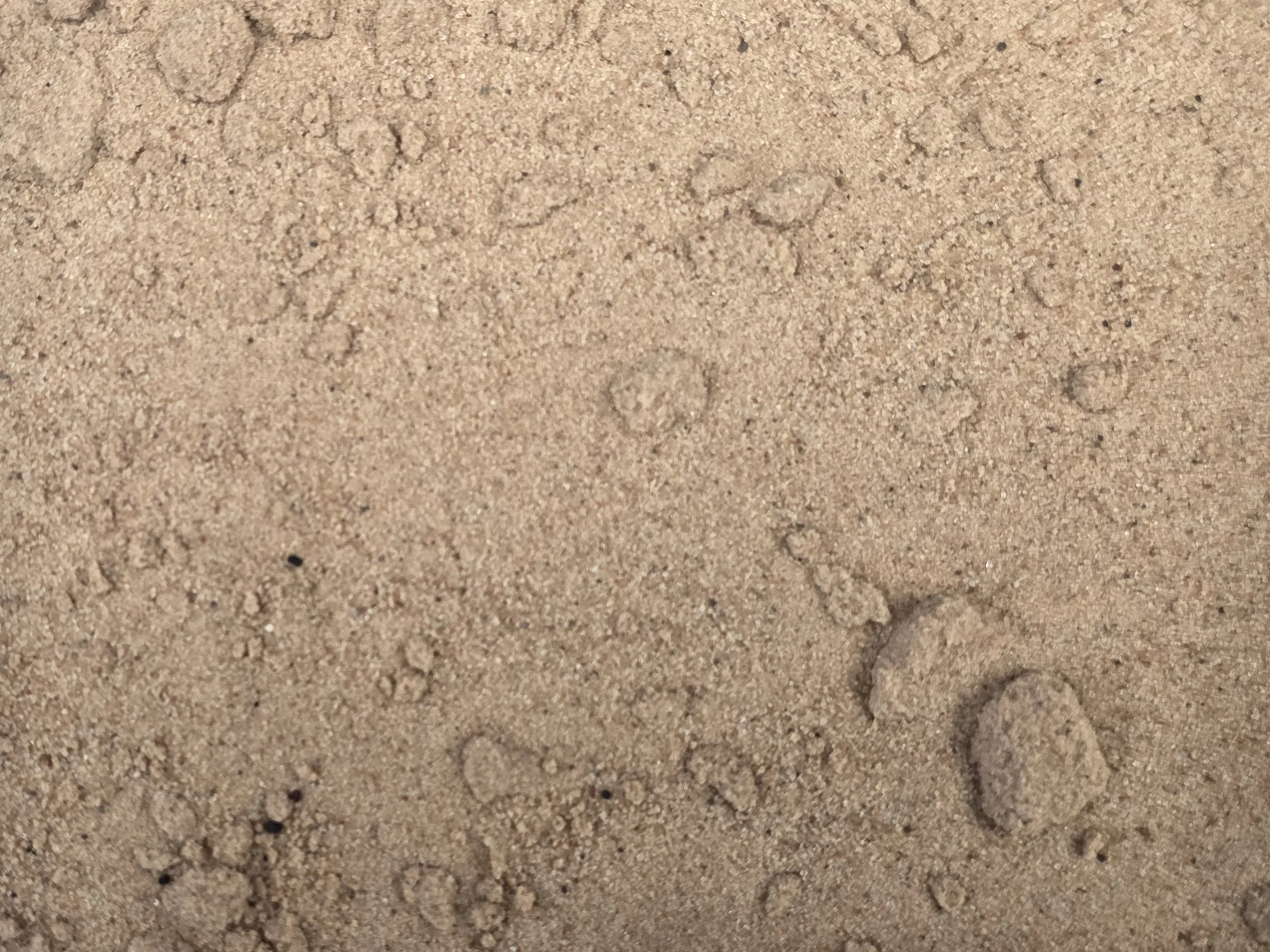 Desert Sand