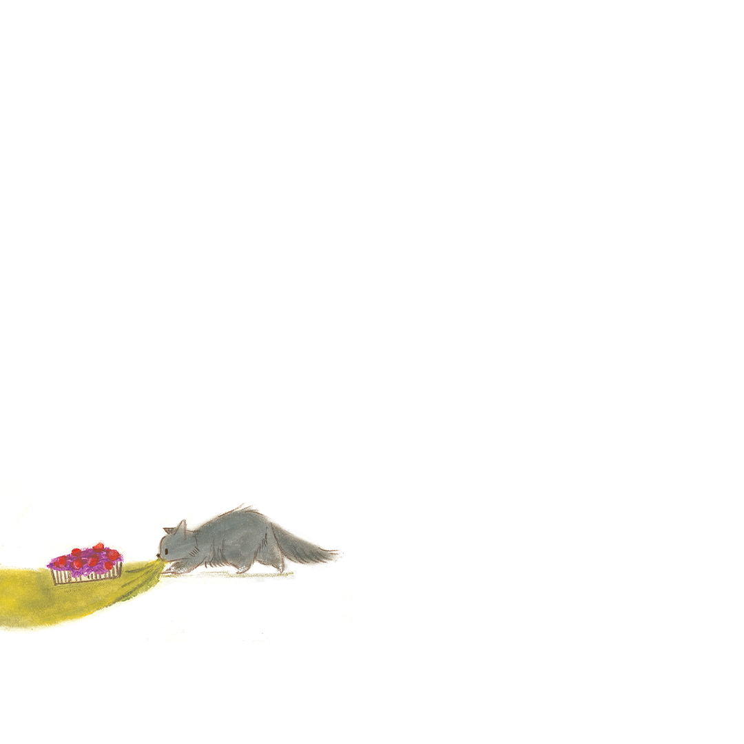 fox-ig-2-sliced_04.png