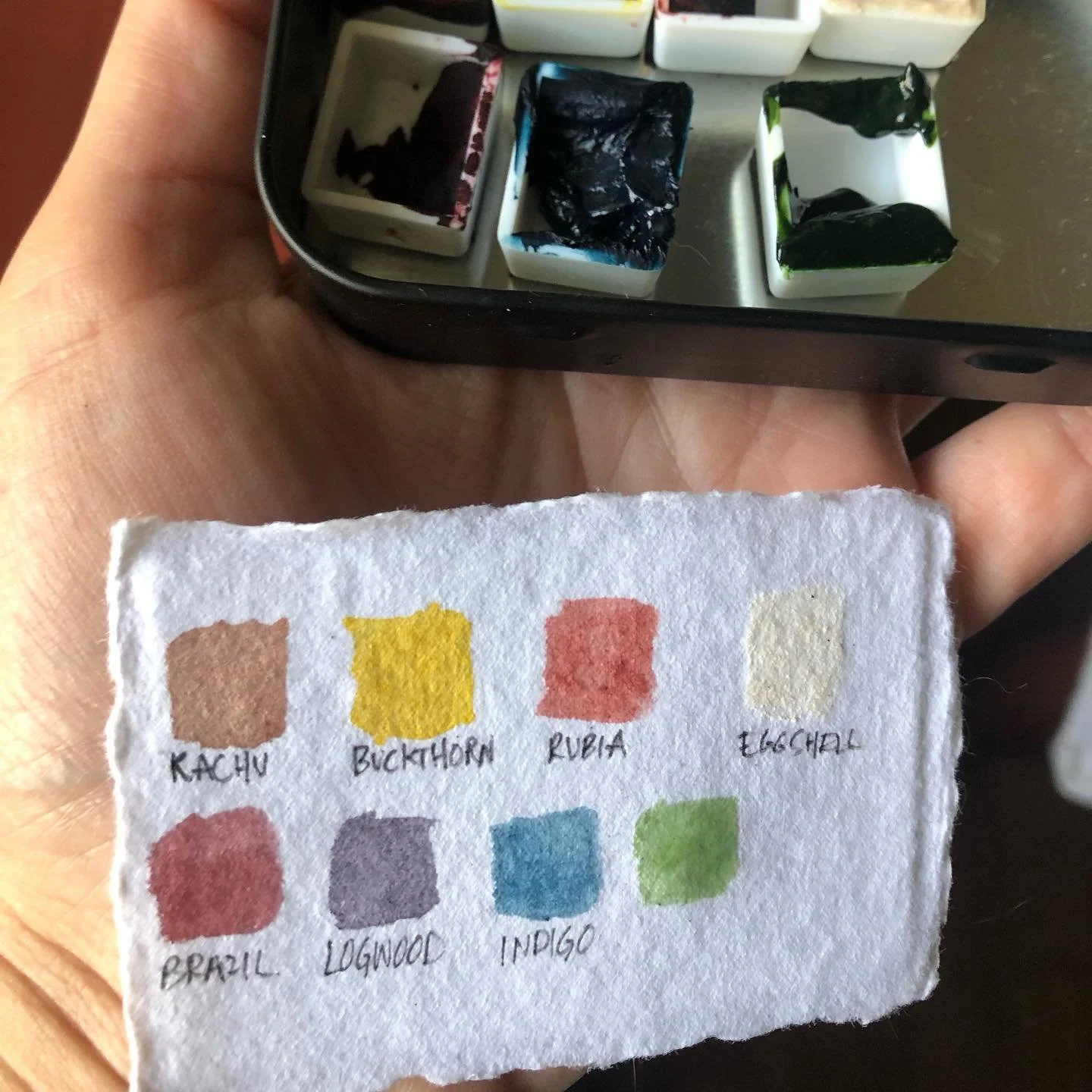 progress on botanical watercolors made with a traditional binder of honey, gum arabic, glycerine, and tea tree 
&bull;
&bull;
&bull;
#botanicalwatercolor #naturaldyes #traditionalwatercolor #craft #handmade #botanicals