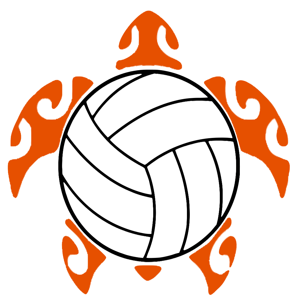 avcturtle.png