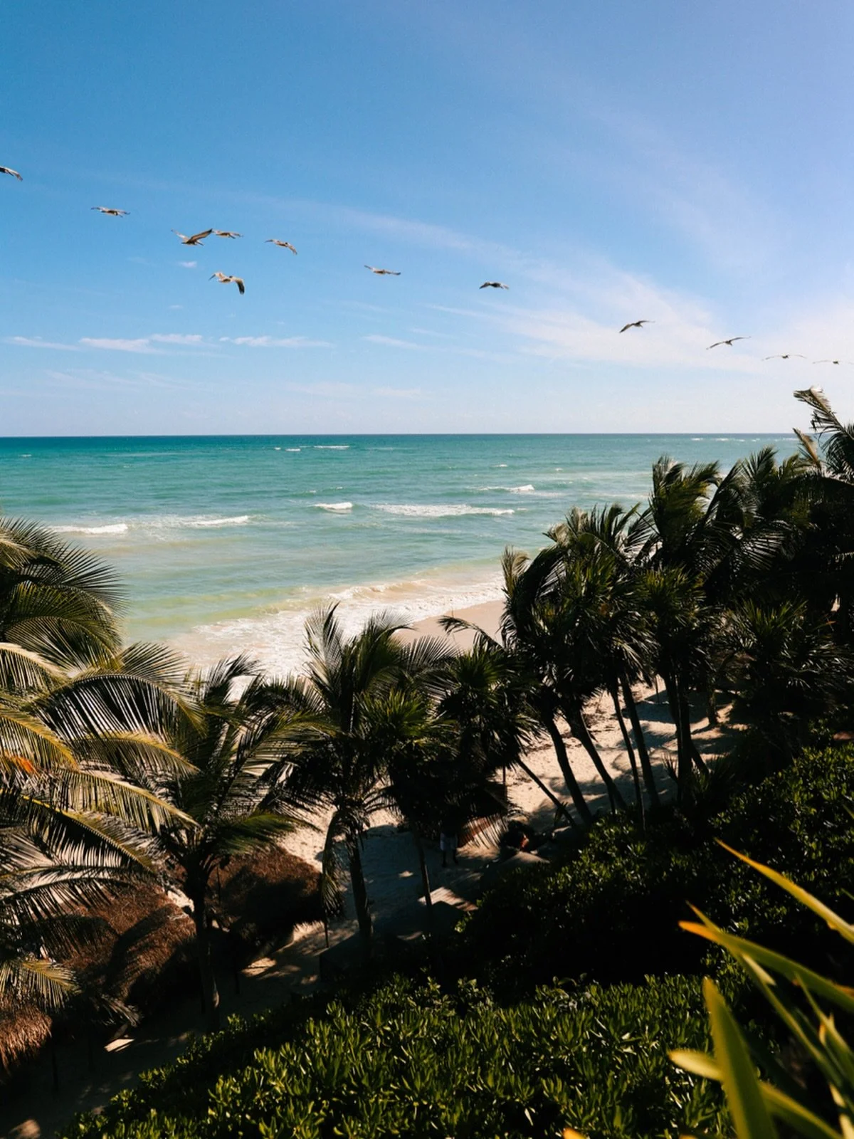 Views from @papayaplayaproject 📍