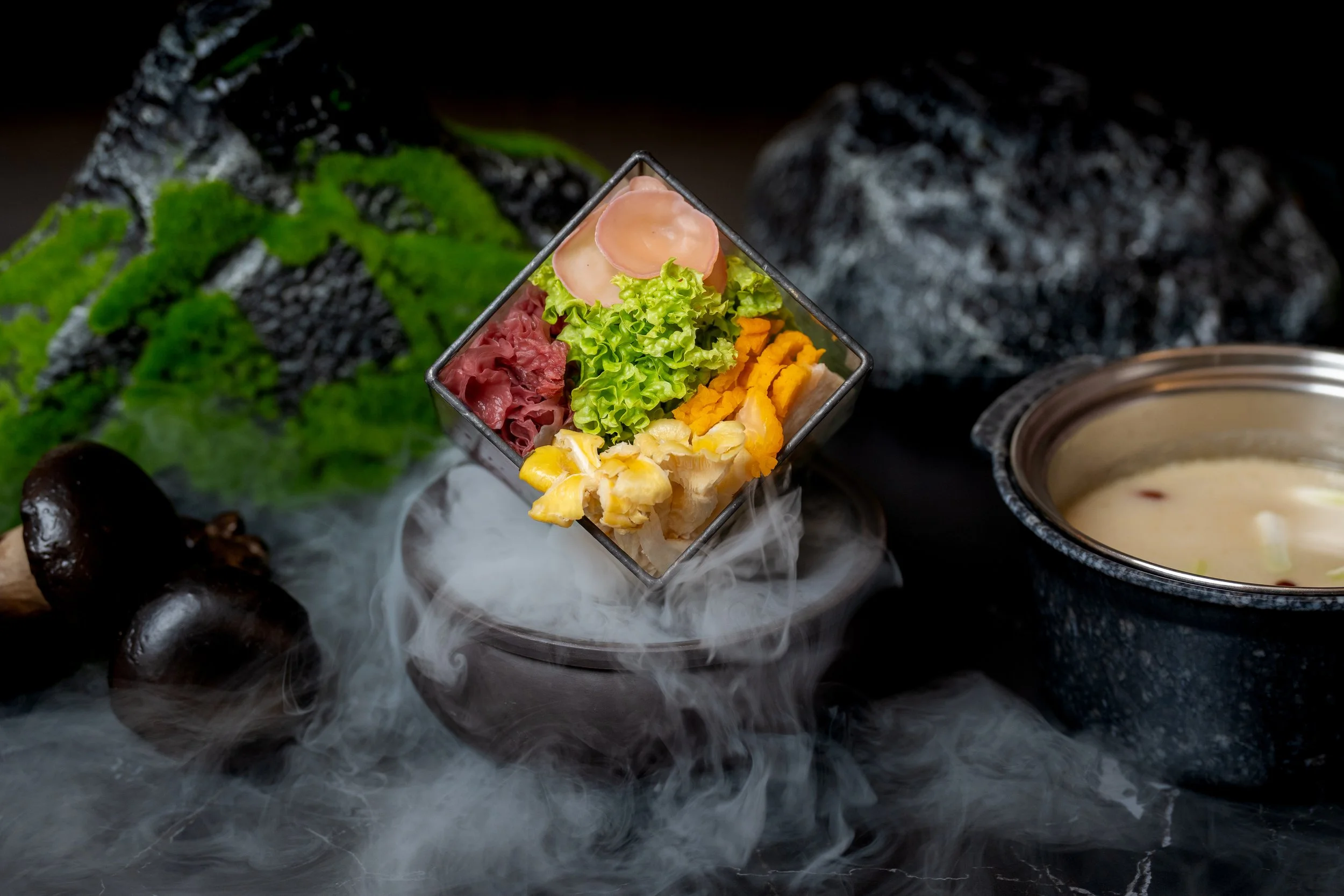 Mushroom Macaron Series.jpg