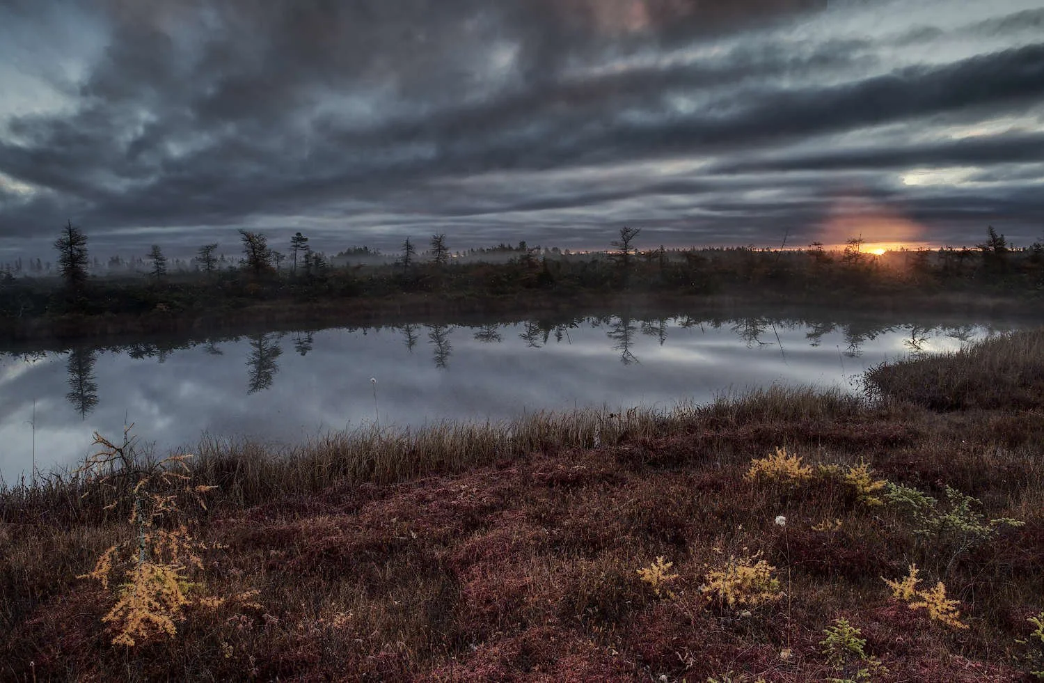 Tourbière d'automne à l'aube_20251028_v3.jpg