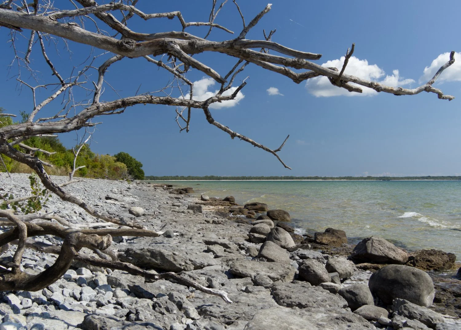 Rivage du Lac Ontario / Lake Ontario suorline / Sand Banks