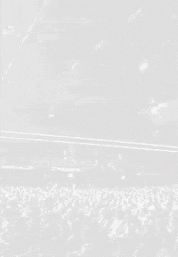 Untitled design set-250x360-px.gif