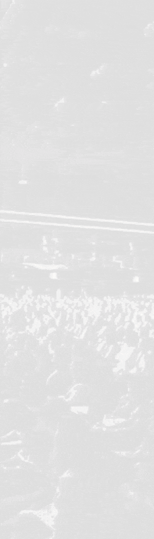Untitled design set-300x1050-px.gif