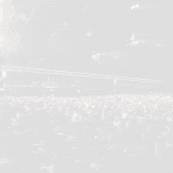 Untitled design set-250x250-px.gif