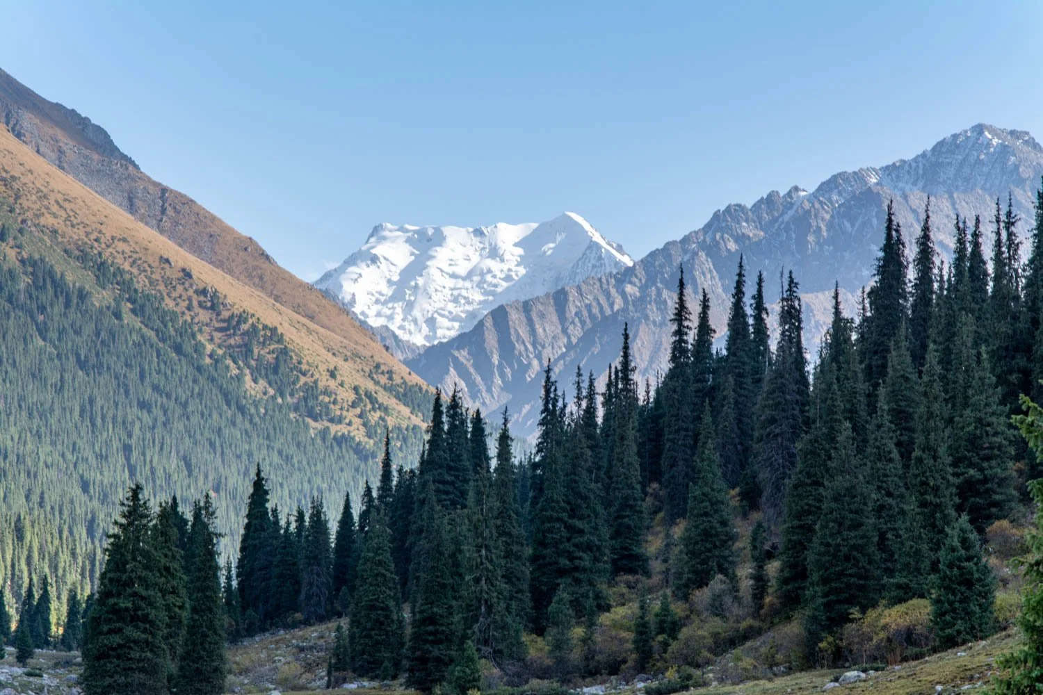 palatka-peak-tian-shan.jpg