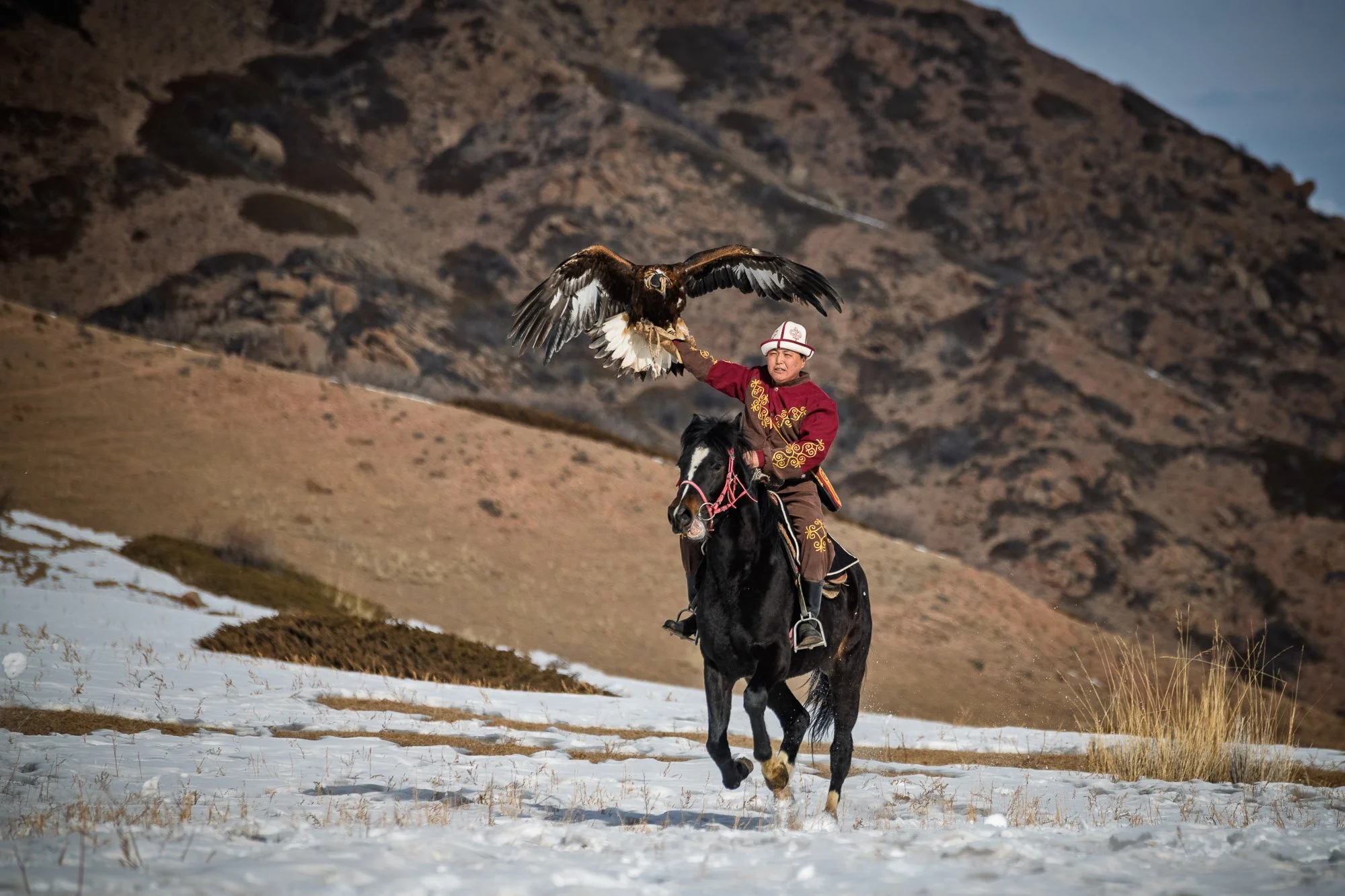 eaGLE HUNTER.jpg