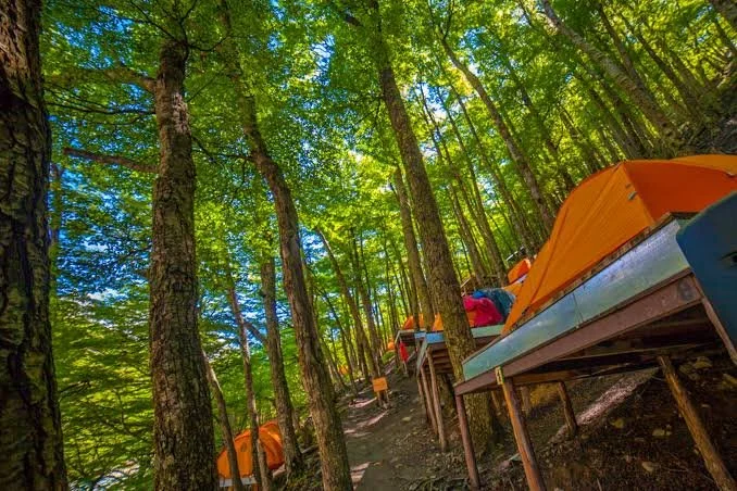 camping.jpg