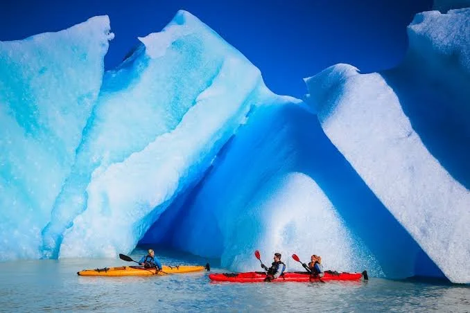 kayak grey glacier.jpg