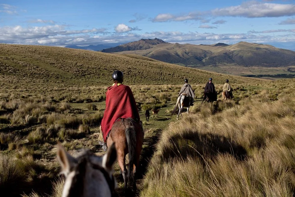 Horseback-Riding-at-El-Porvenir.jpg