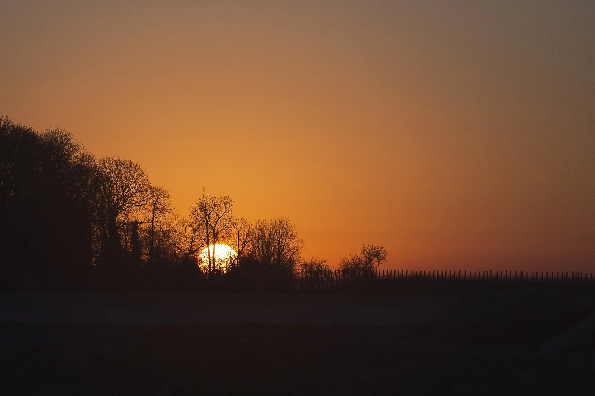 Orange matinal Yvelines 2024

