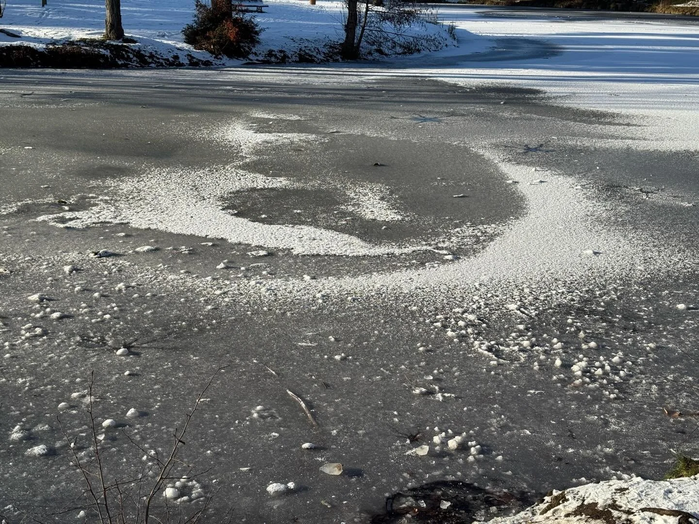 Parc des Ibis Le V&eacute;sinet
