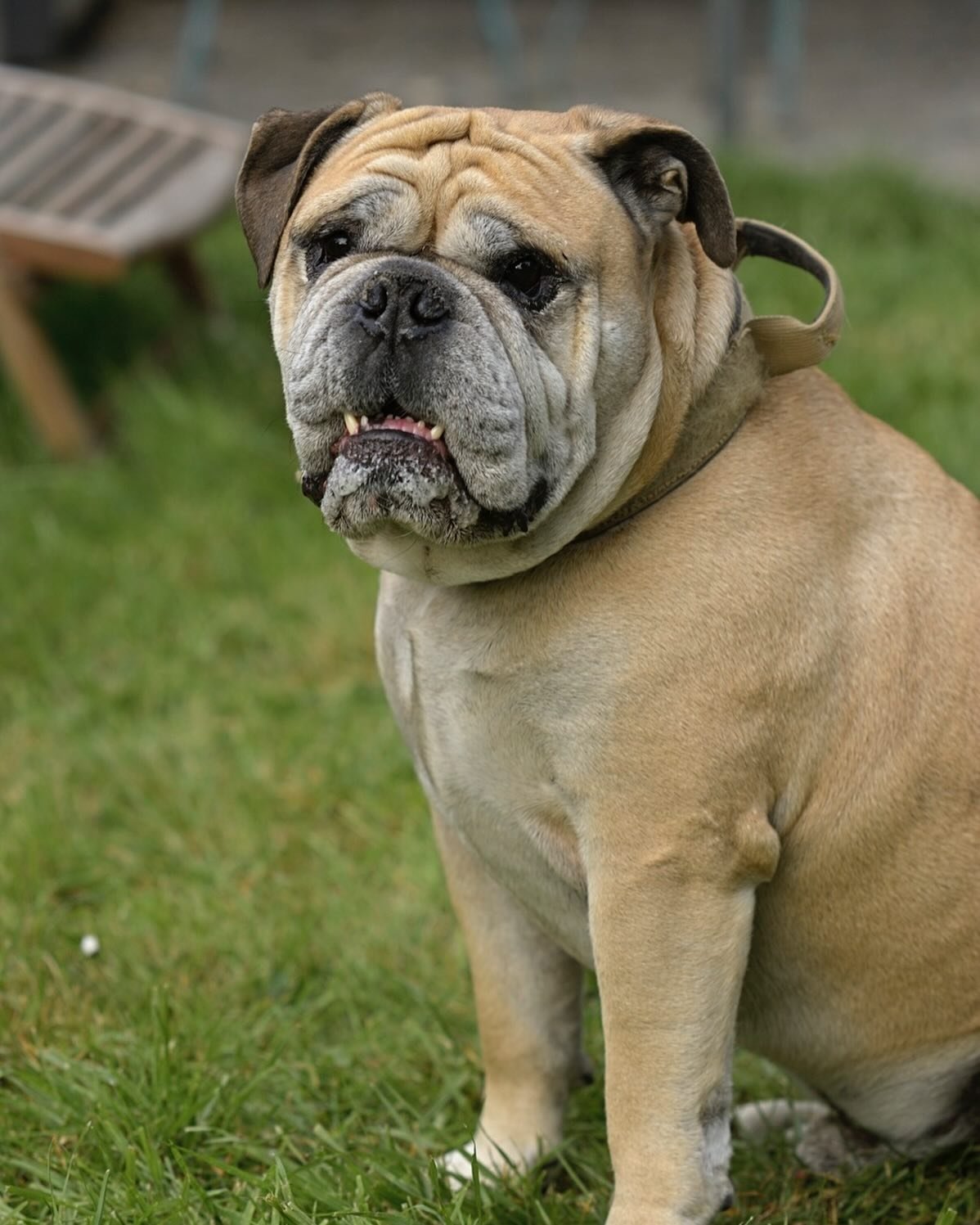 Il est au Top Ralph ! 
Nikon D700 de 2008 et objectif ai nikkor 135 f2.8 &hellip; de 1979