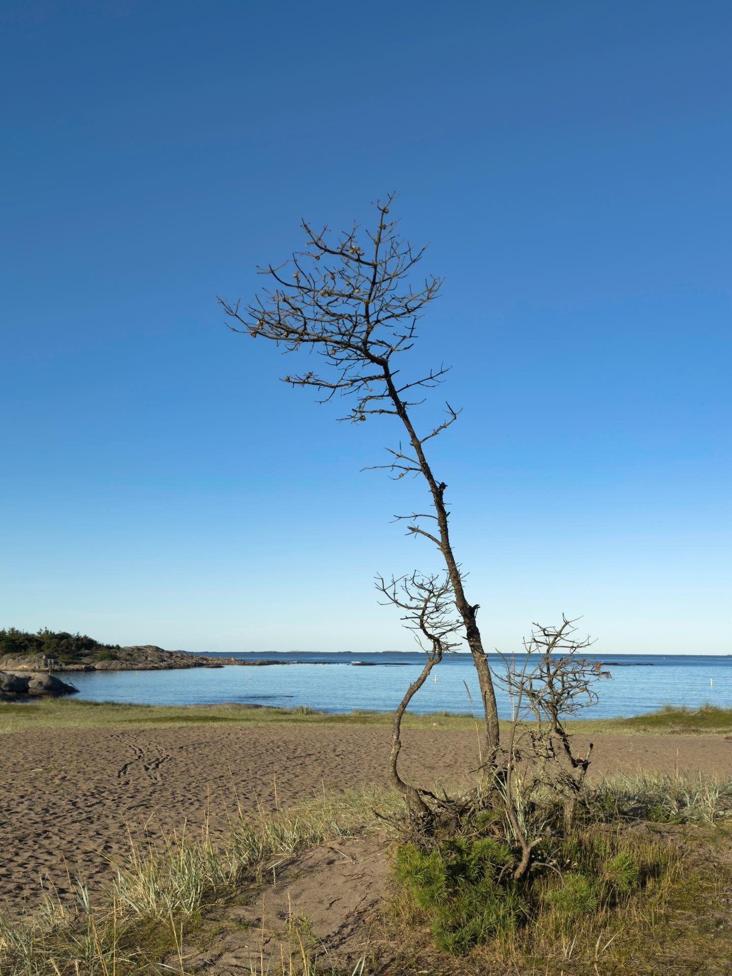 La mer su&eacute;doise me manque &hellip;