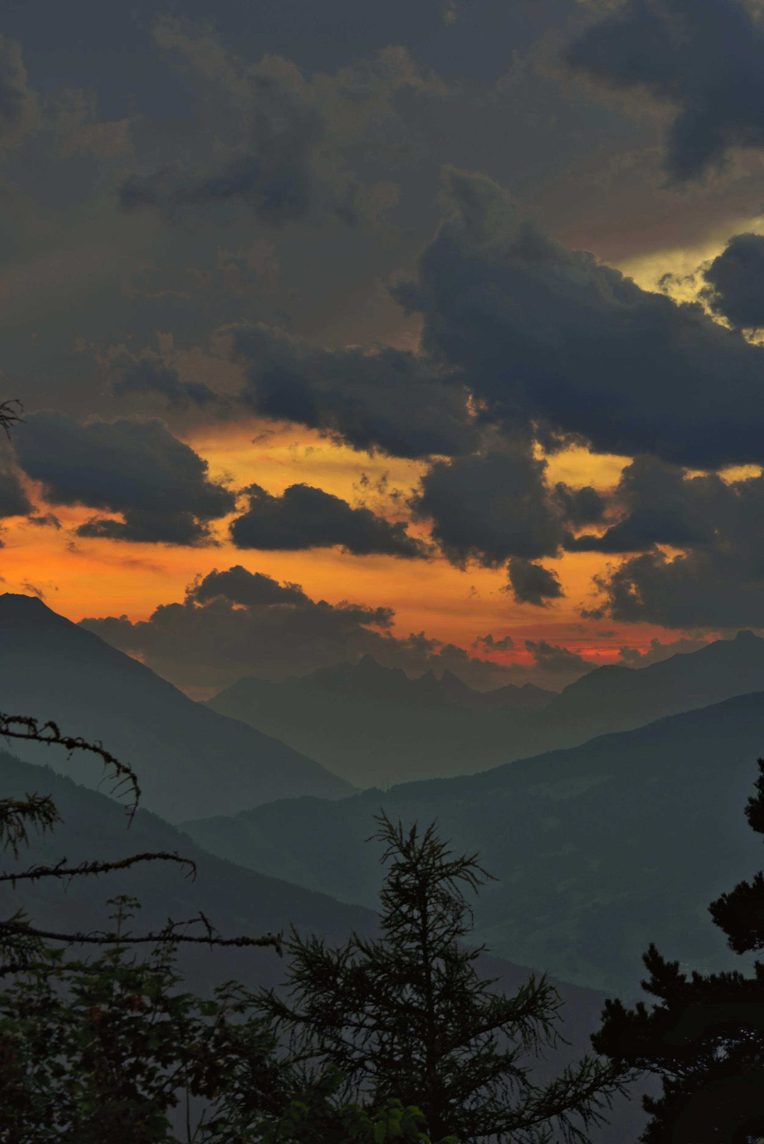 au Nikon D750 + AF-S 80-400 D