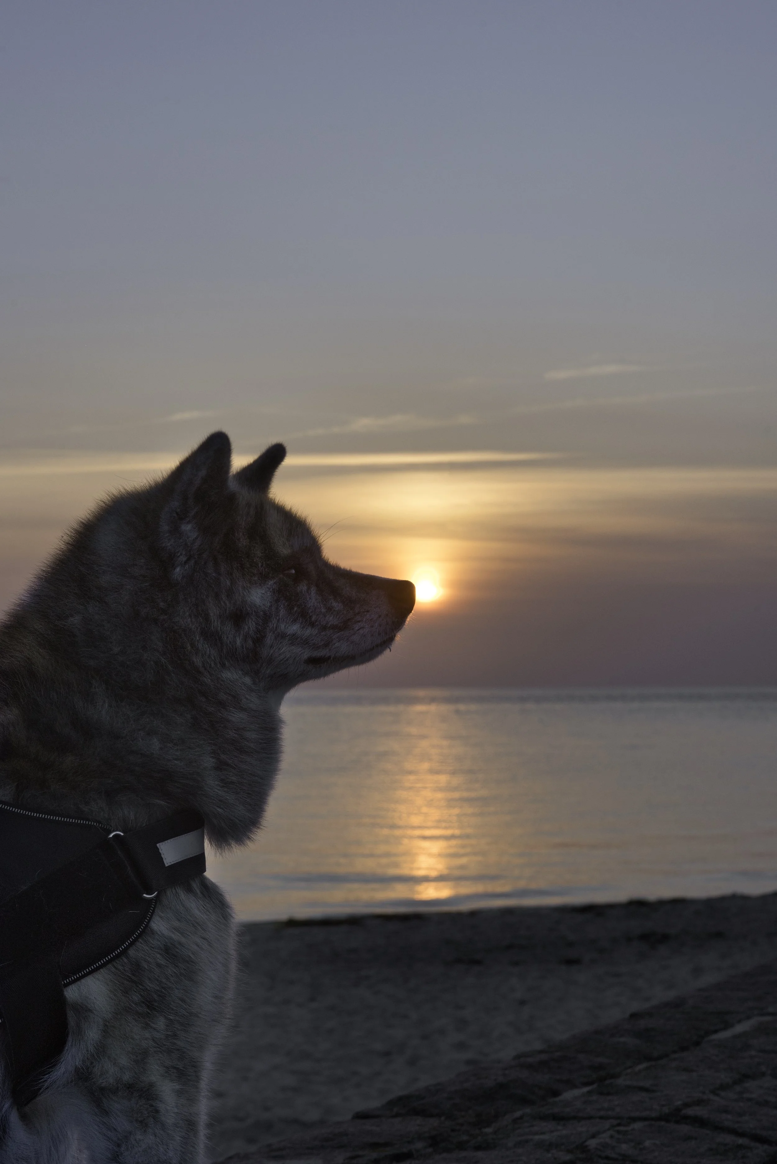 47B952CA-E0F8-46E7-80B0-DB8103E08562_1_100_o.jpeg