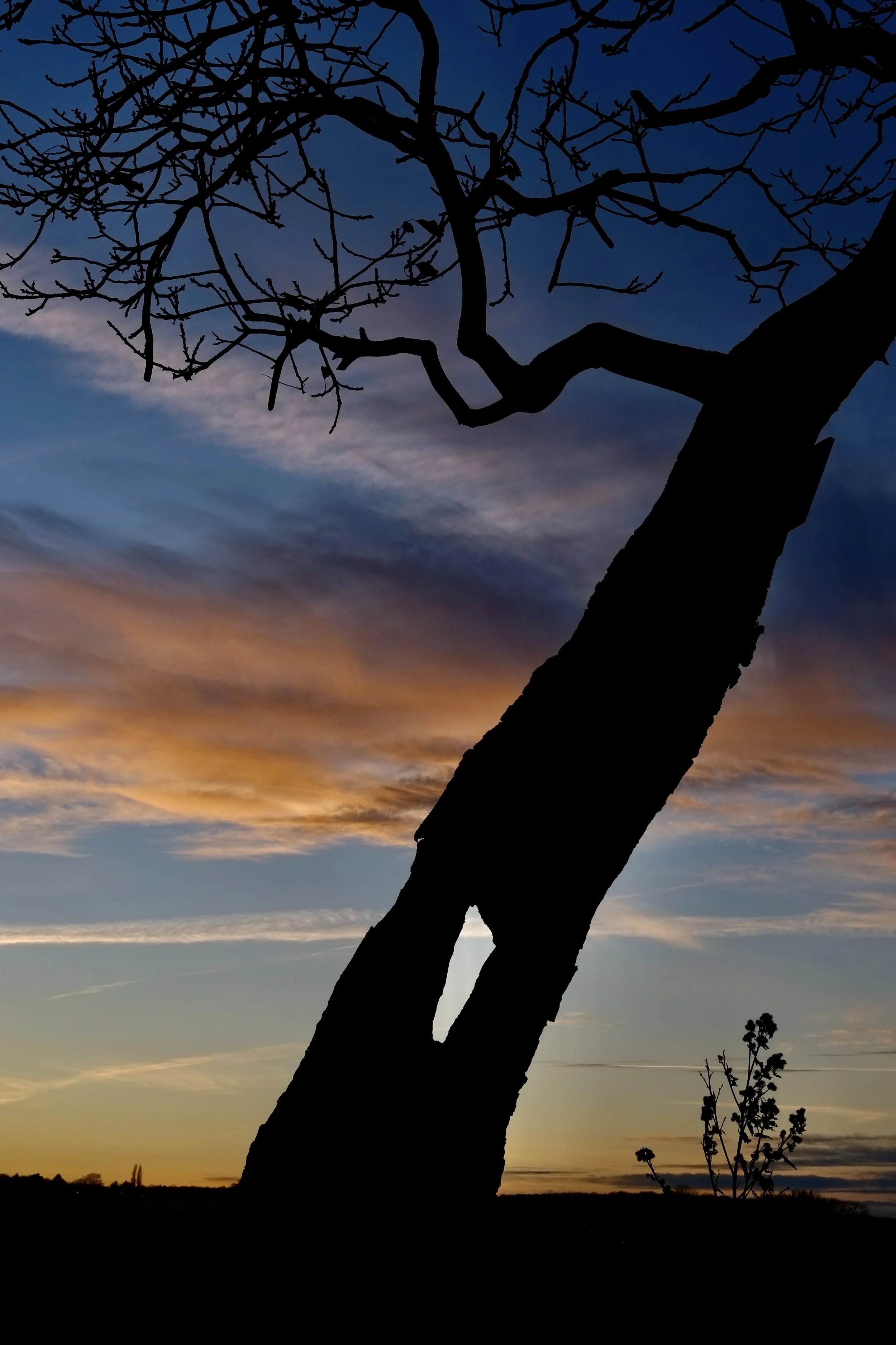 7B994F9D-31AA-4798-AA29-D0571D39B3B0_1_201_a.jpeg
