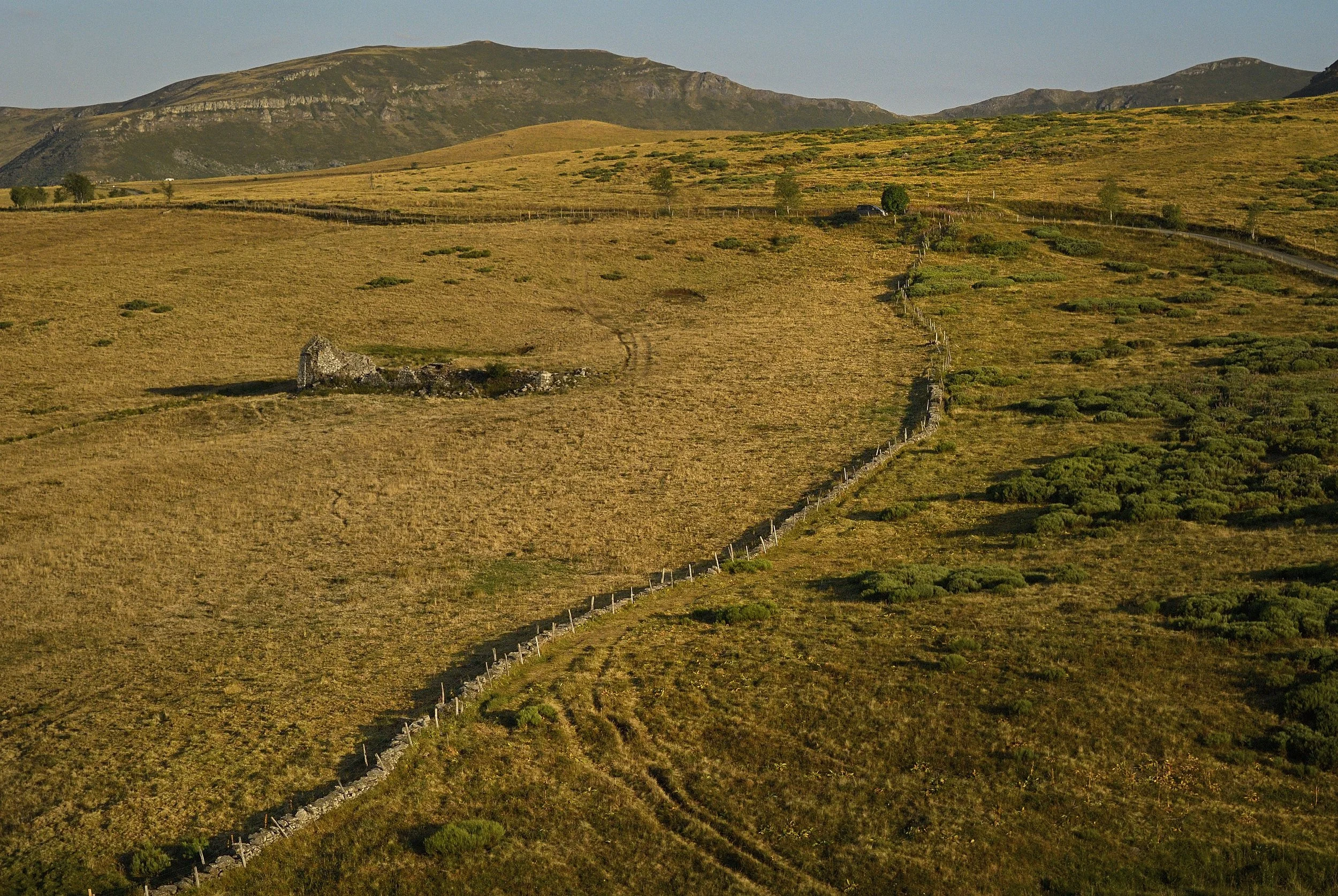 Plateau du Cézalier