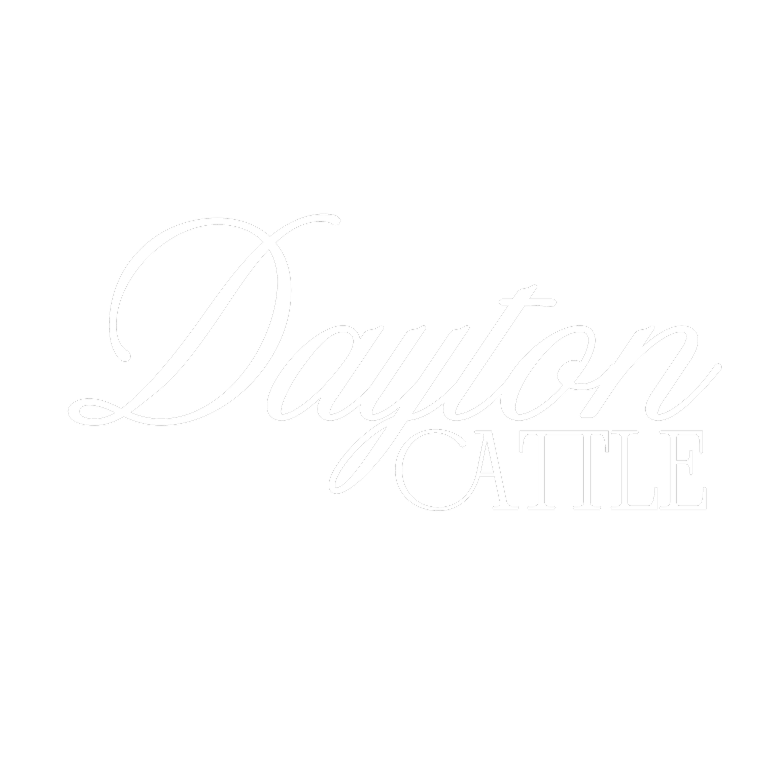 Dayton Cattle