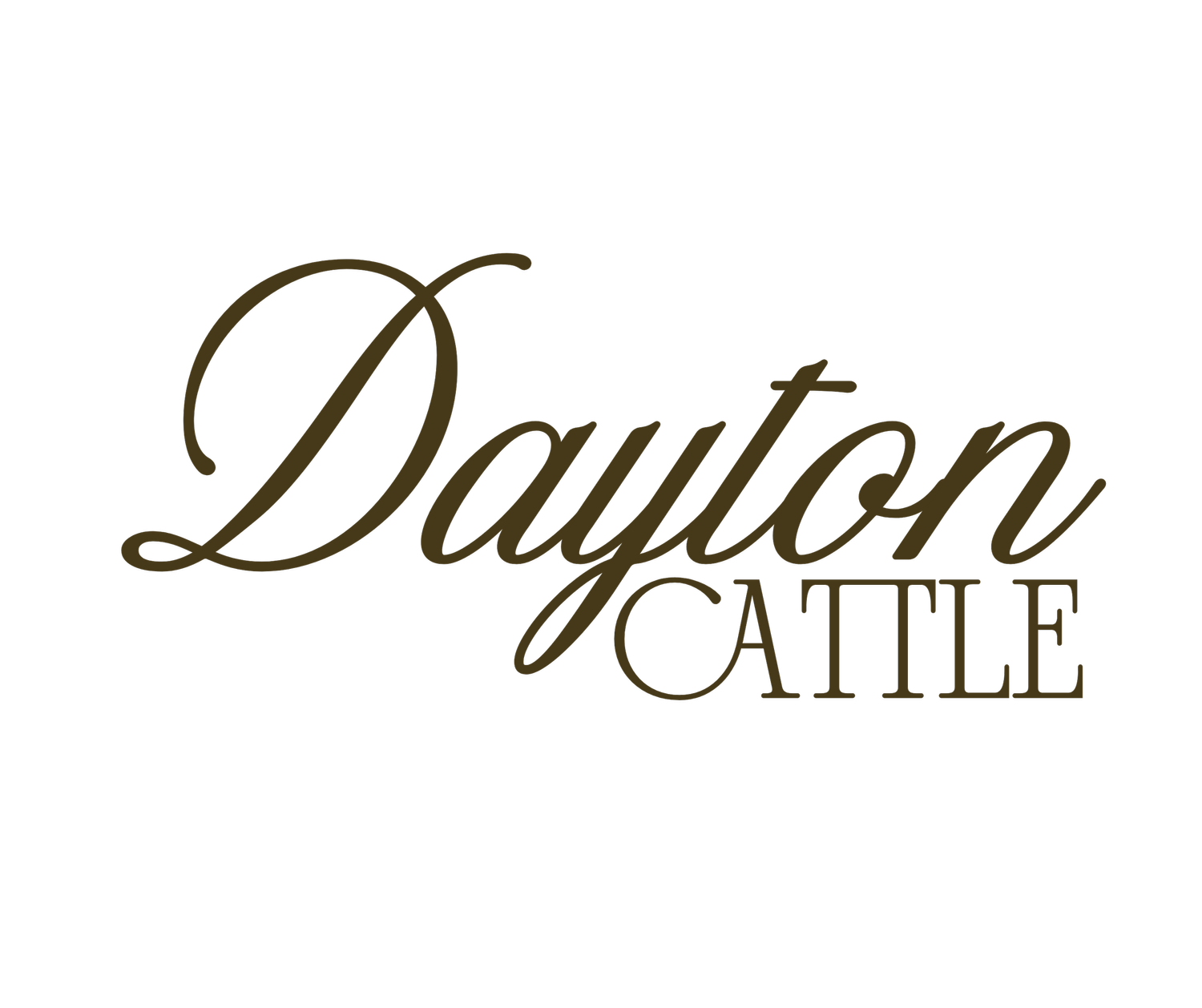 Dayton Cattle