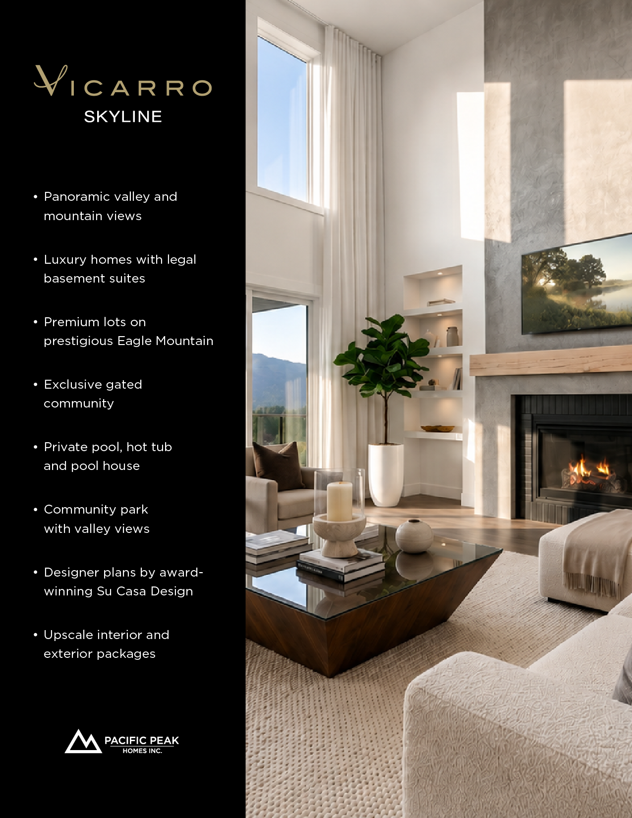 Vicarro Skyline Key Marketing Points