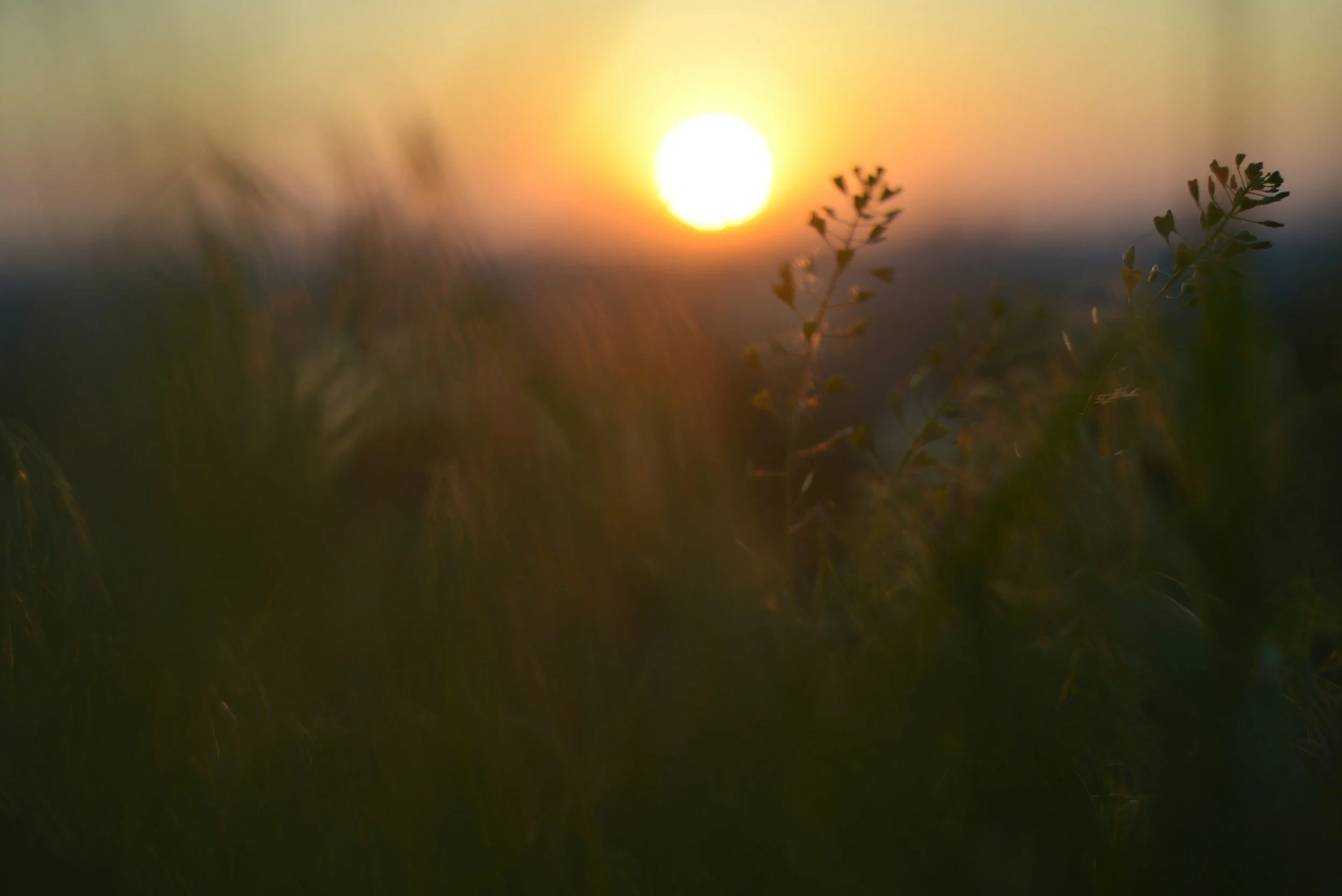 Connect With an Online BIPOC Therapist in California