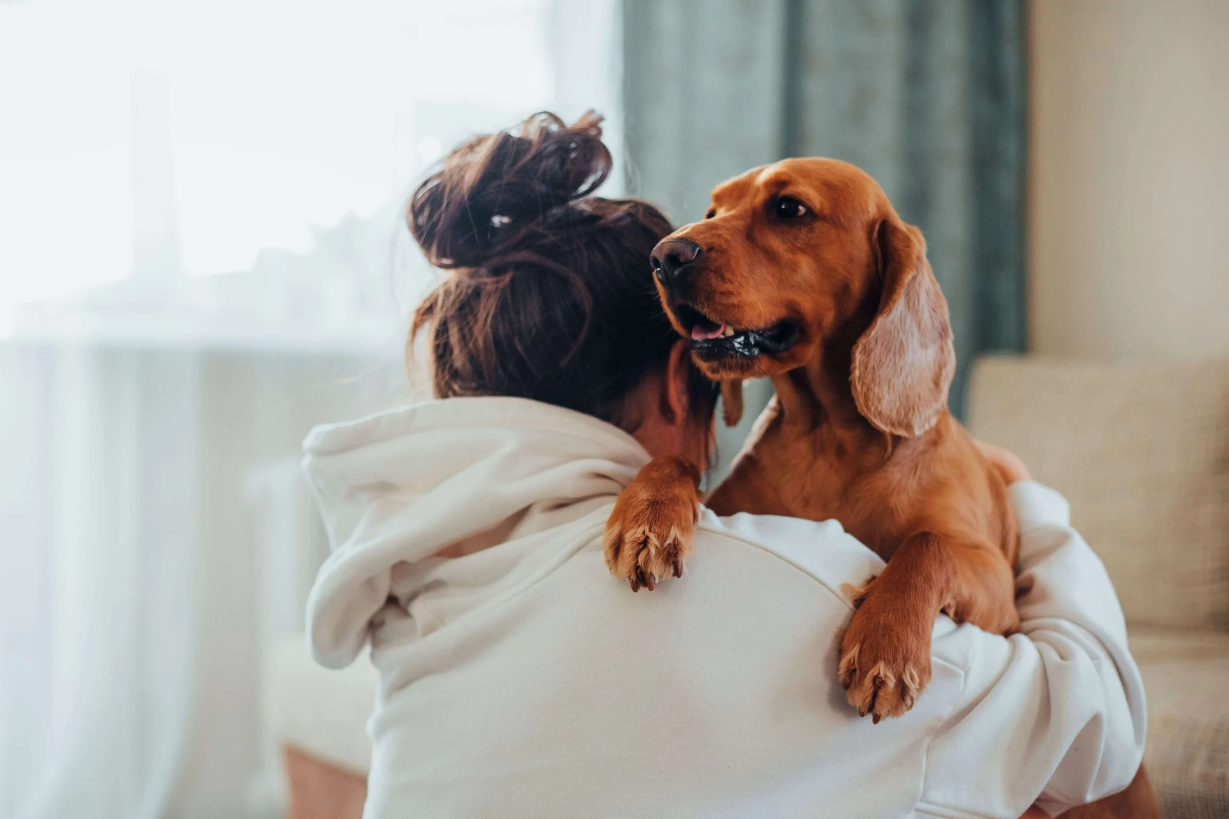 Helping a Teen Cope With the Loss of a Pet