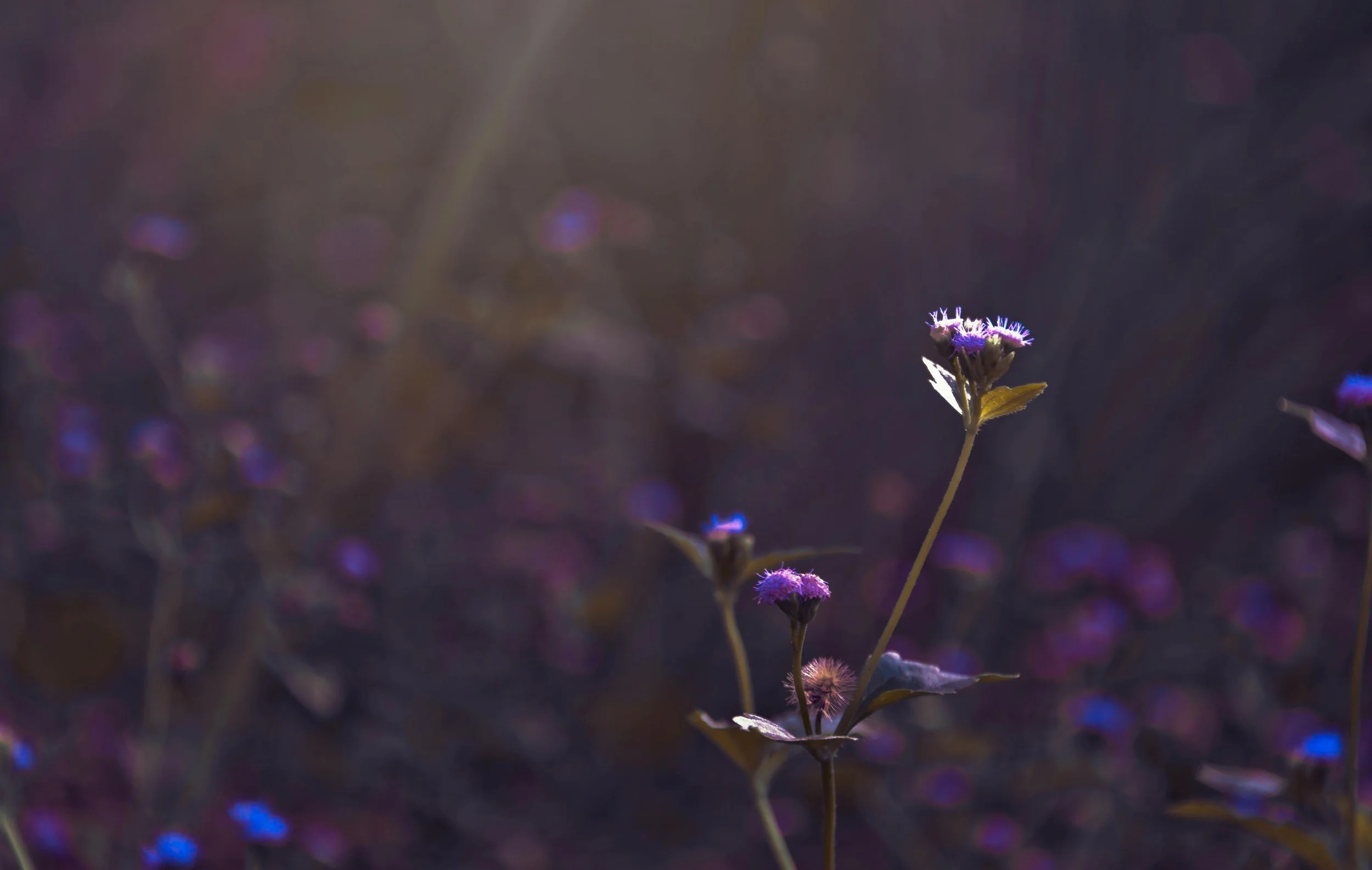 Accepting Aetna for Therapy Across California