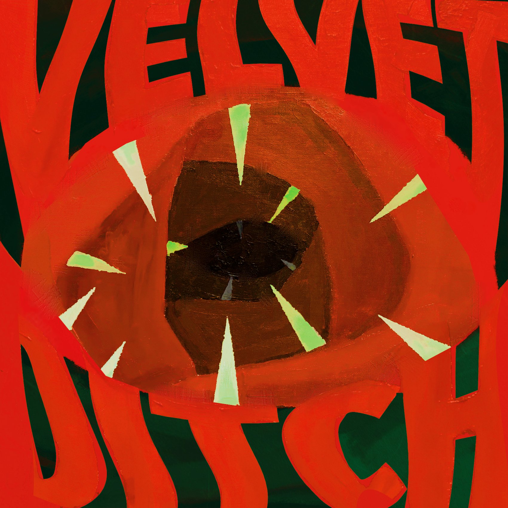 VELVET DITCH_COVER ART_FINAL_JPG.jpg