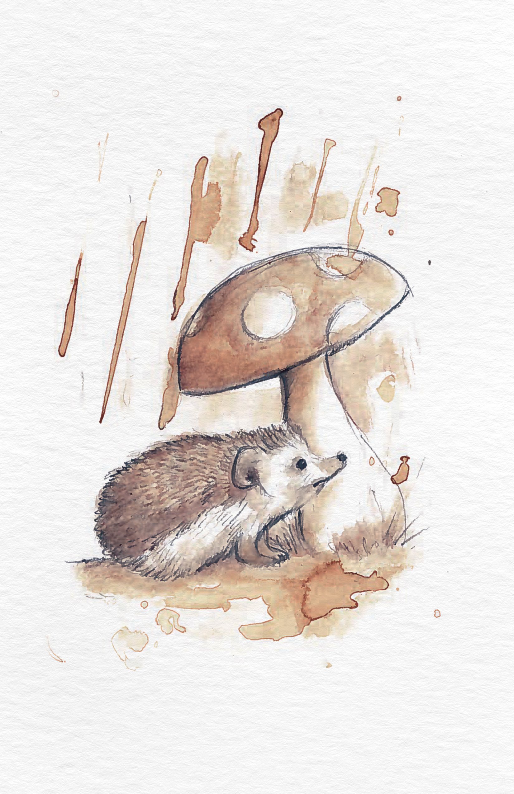 hedgehog.jpg