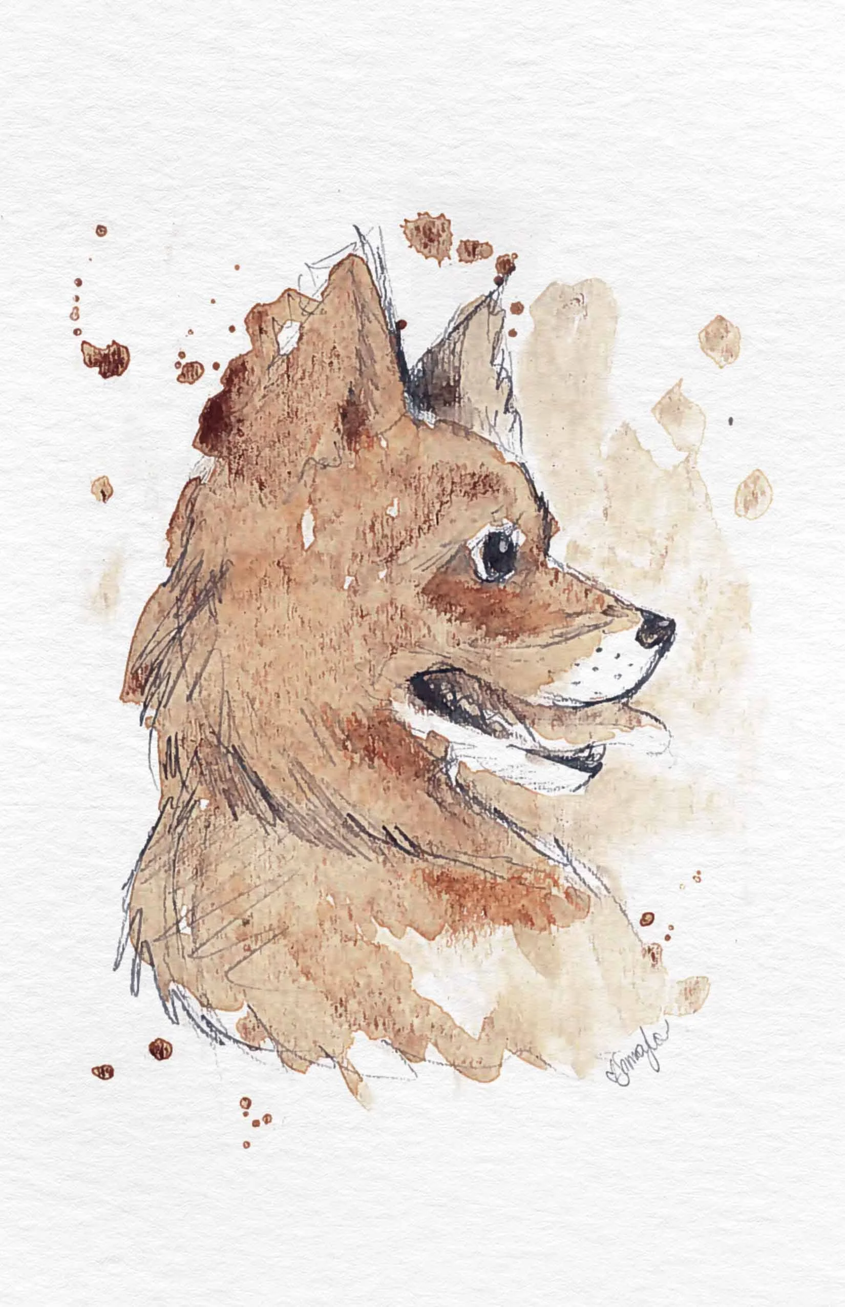 pup copy.jpg