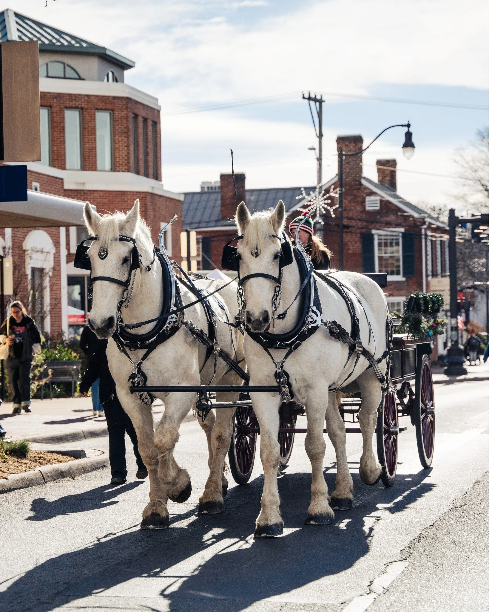 ❄️ HORSE &amp; CARRIAGE RIDE INFORMATION ❄️

One of the most magical activities at Winter Wonderfest is the horse and carriage rides down Main Street! This popular activity is free, but fills up quickly. Here's everything you need to know if you want
