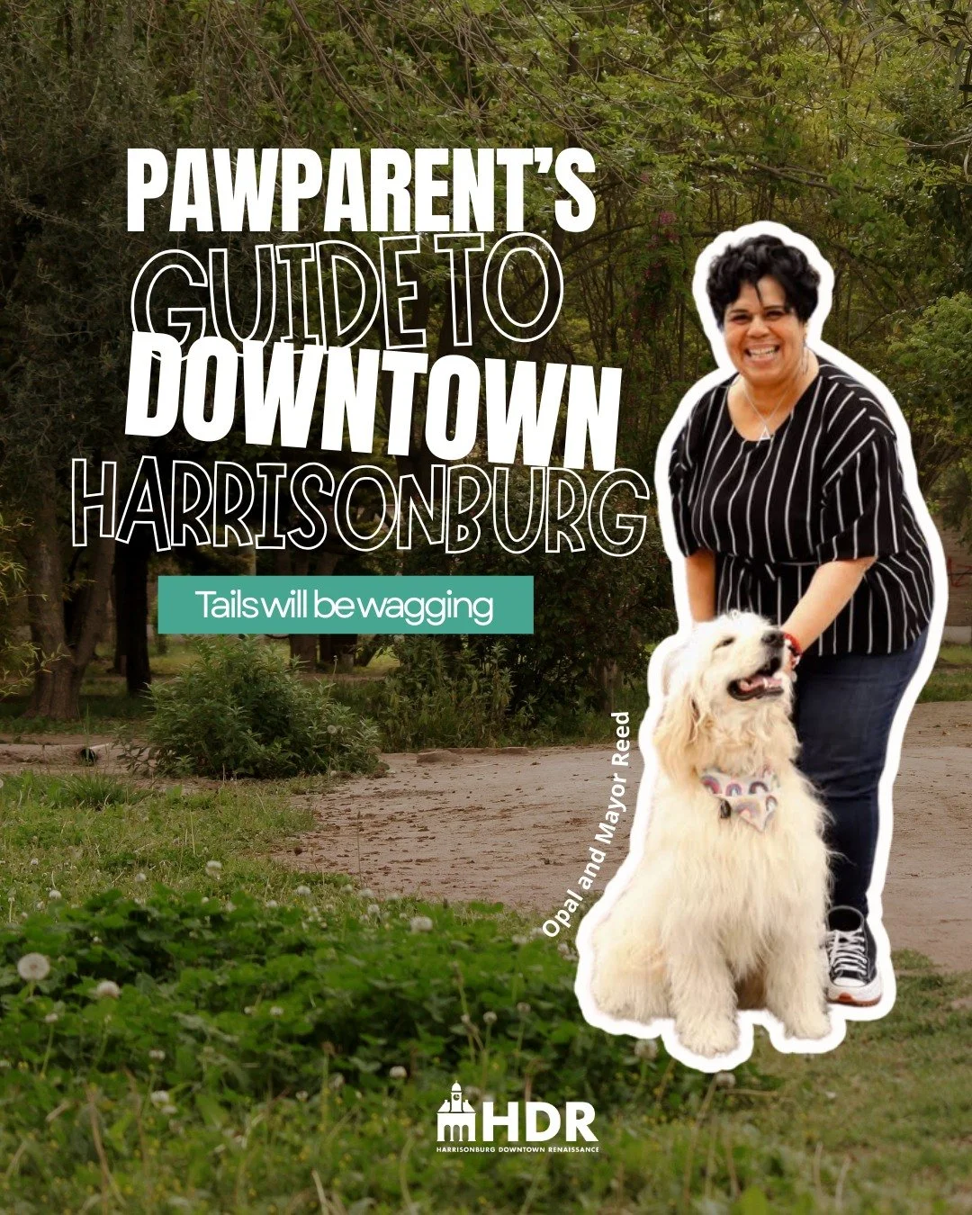Ever wonder if your dog loves downtown as much as you do? 🐾
They probably love it MORE.
We get it. That's why we made this guide. 
Think free pup cups at coffee shops that genuinely love seeing your furry friend, pet-friendly shops, dog-friendly pat