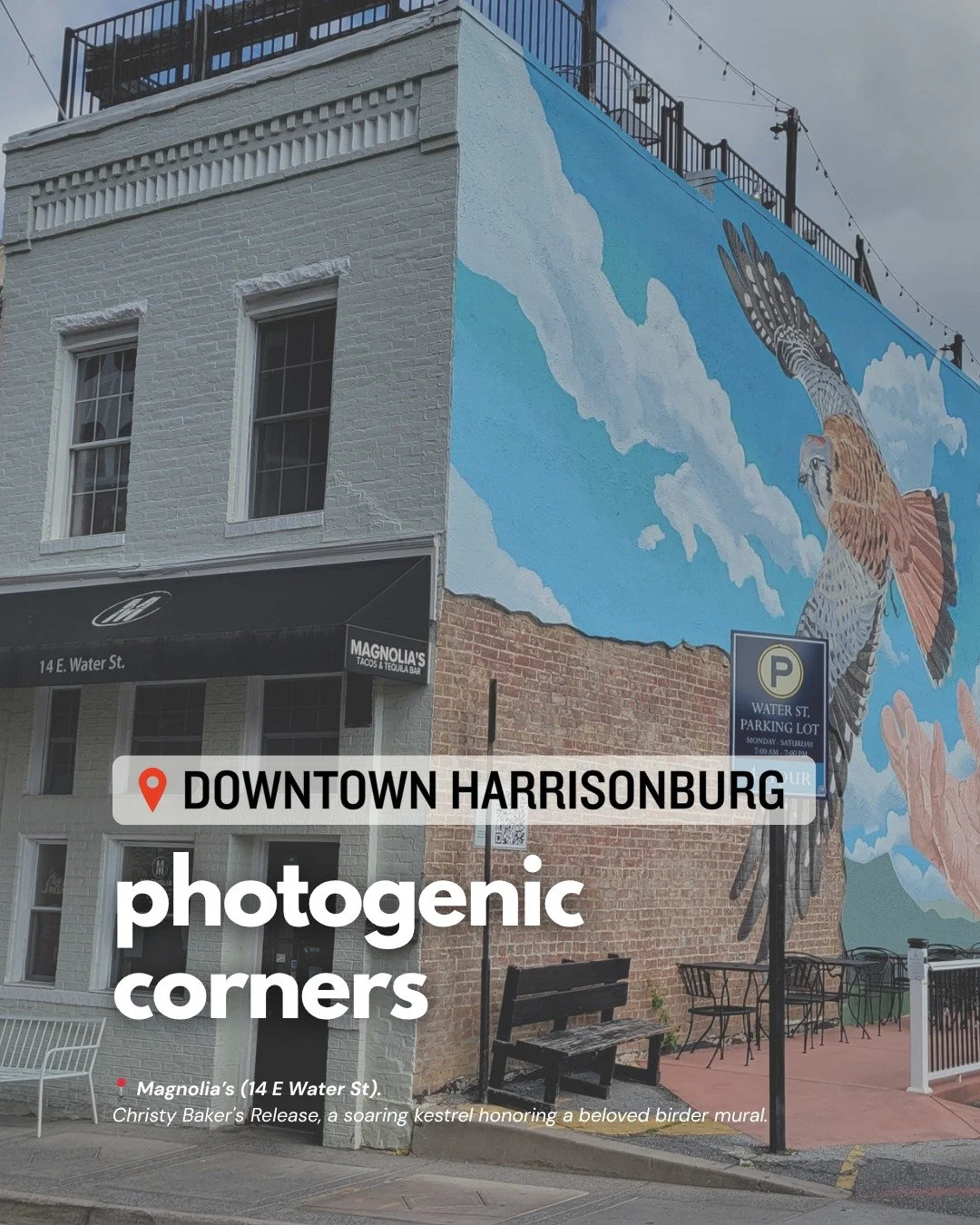 Harrisonburg is full of stories worth capturing. From incredible street murals, a historic Civil War courthouse, historic and architecturally interesting buildings and budding gardens, downtown is your gallery this week. Grab your camera, take a walk