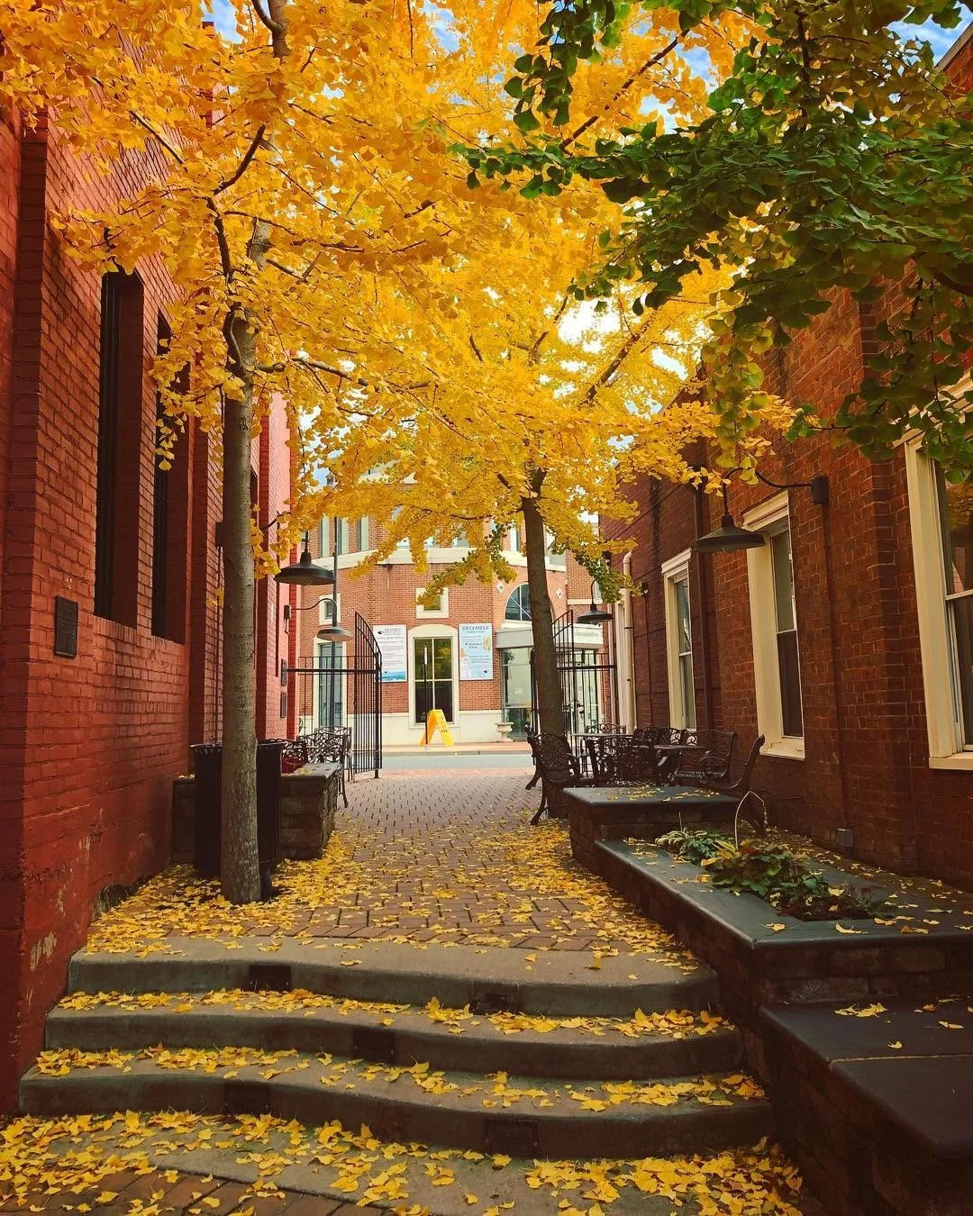 Fall for the Arts: Dinner and a Show in Downtown Harrisonburg