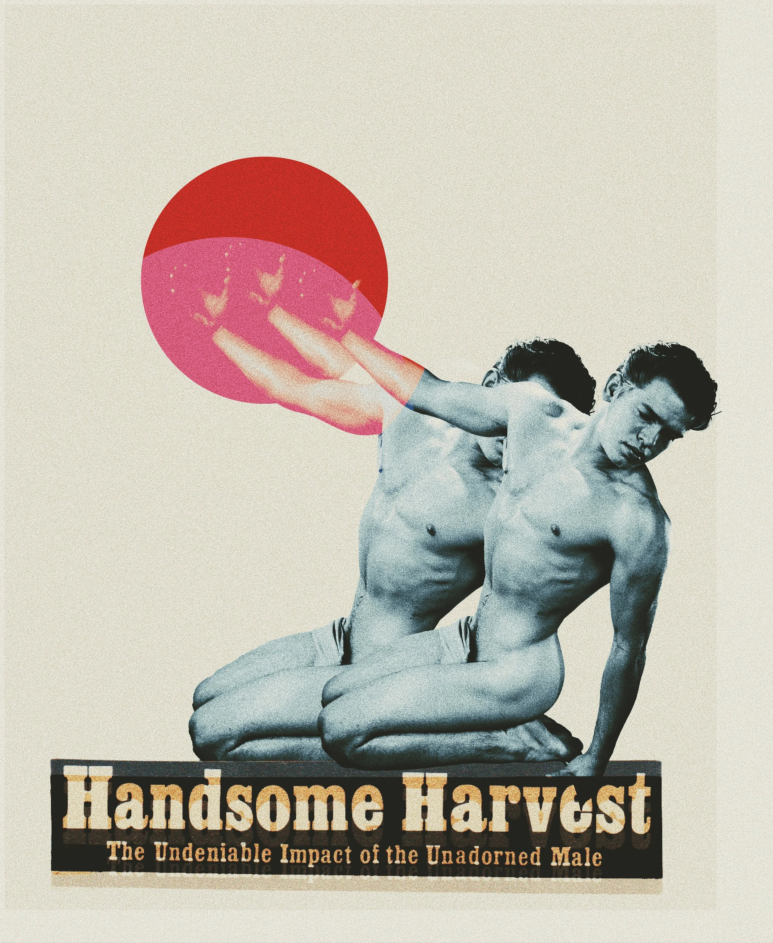 Handsome Harvest - Limited Edition Print