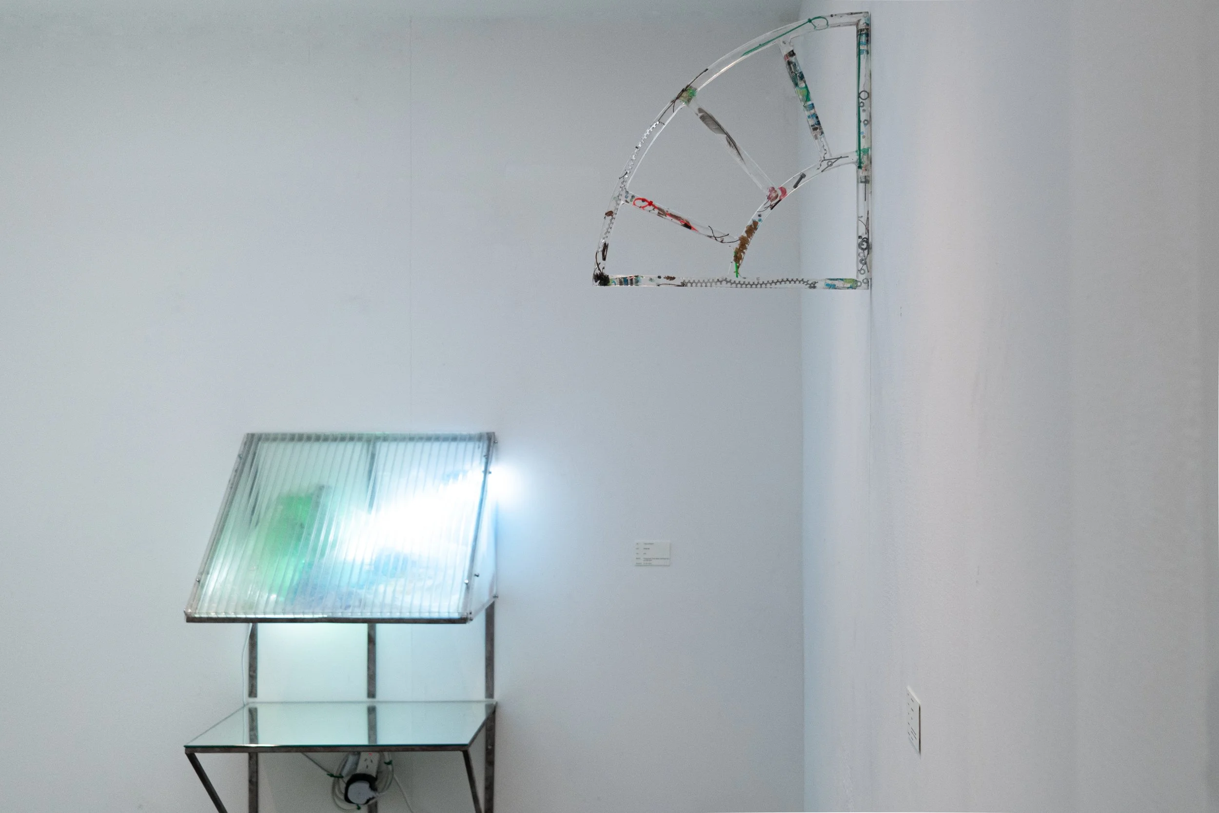 doneDSC01992-6.jpg