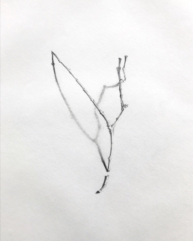 JNicholls glyph1.jpeg