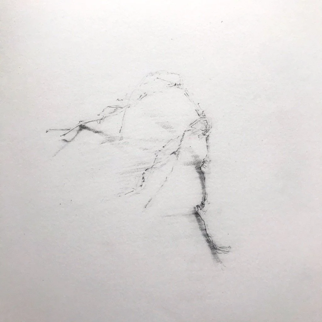 JNicholls glyph disappearing.jpeg