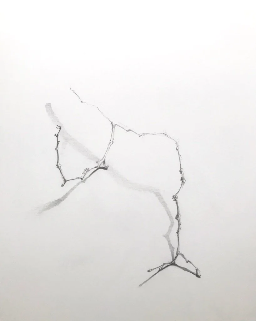 JNicholls glyph.jpeg