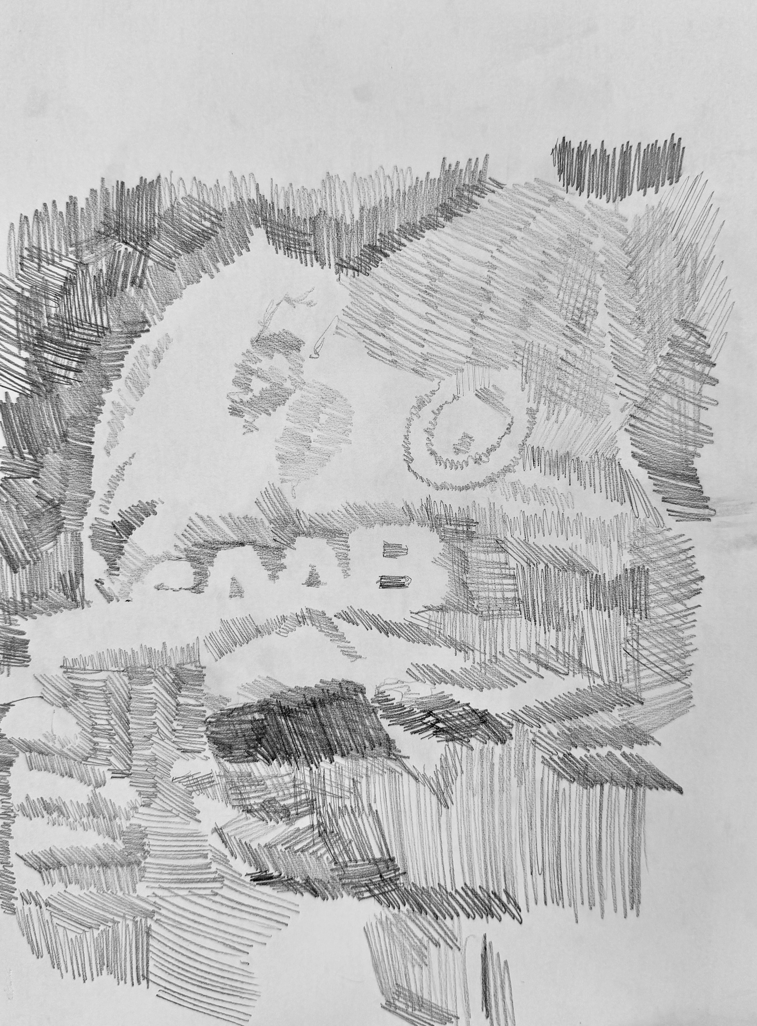 IMG_7845.jpg