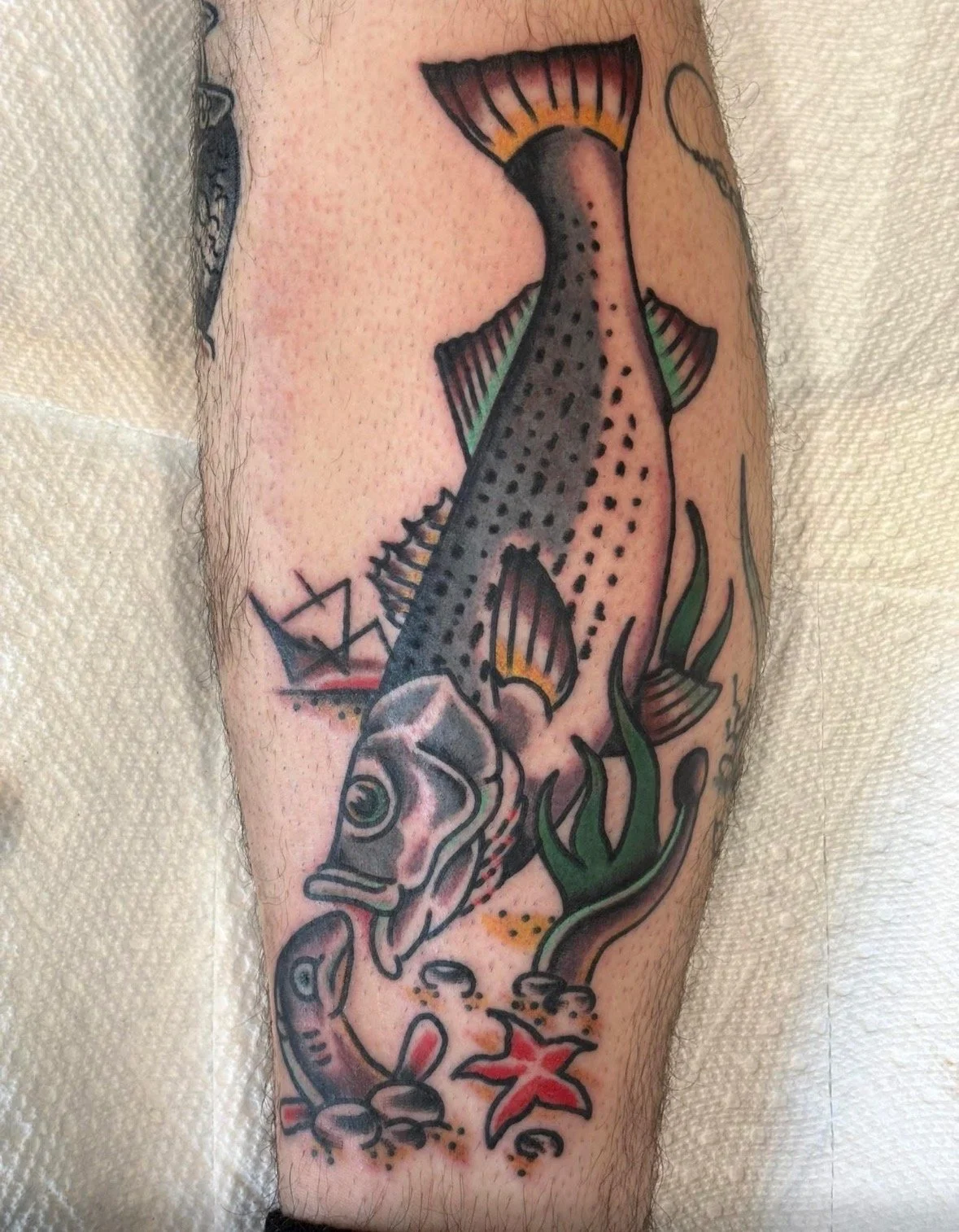 MK - Bass and Worm.jpeg