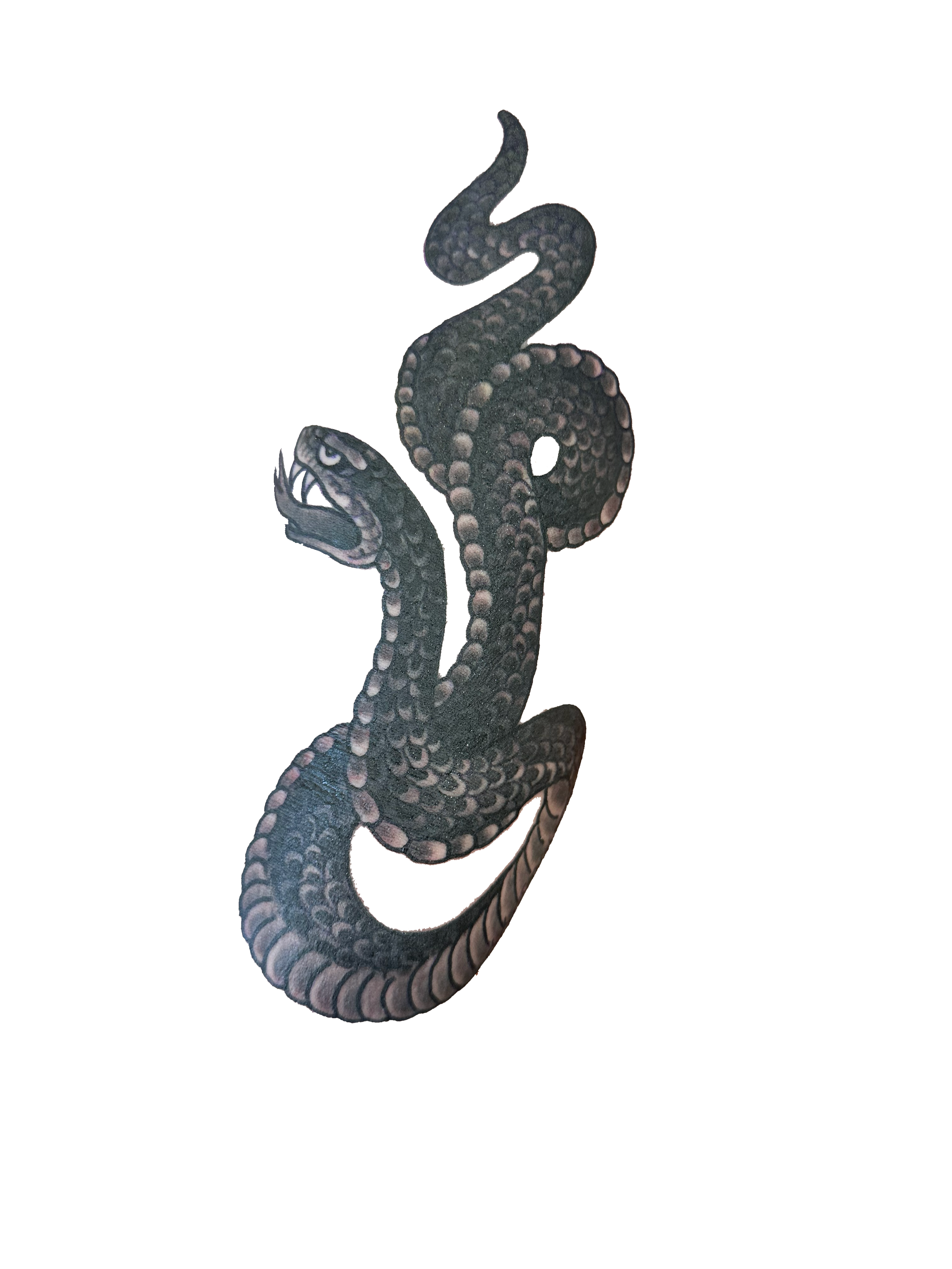 Black and Grey Snake Tattoo