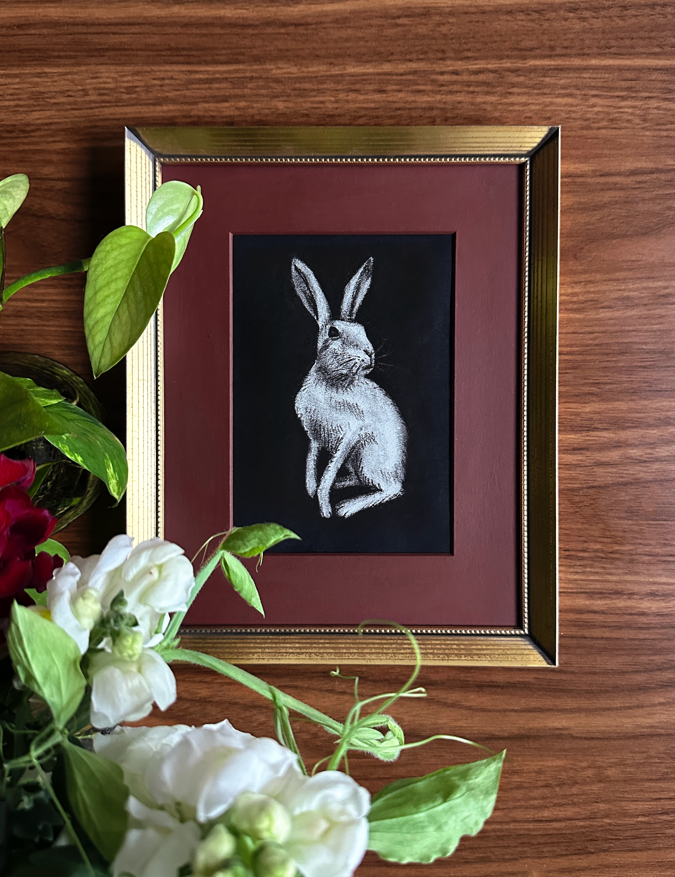 Bunny1.png