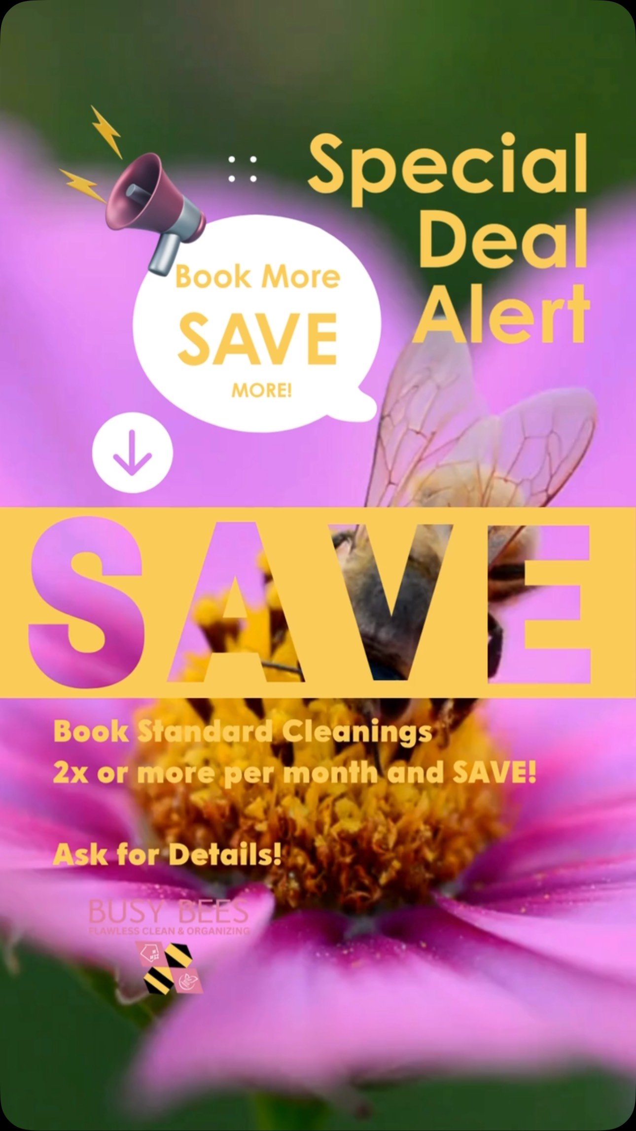 ✨🐝🧼 We Handle The Mess, You Enjoy the Space ✨ Servicing Oceanside, California to Downtown San Diego! #SanDiegoCleaner #SanDiegoClean #SanDiegoCleaningService #SanDiegoCleaning #SanDiegoCleaningCompany