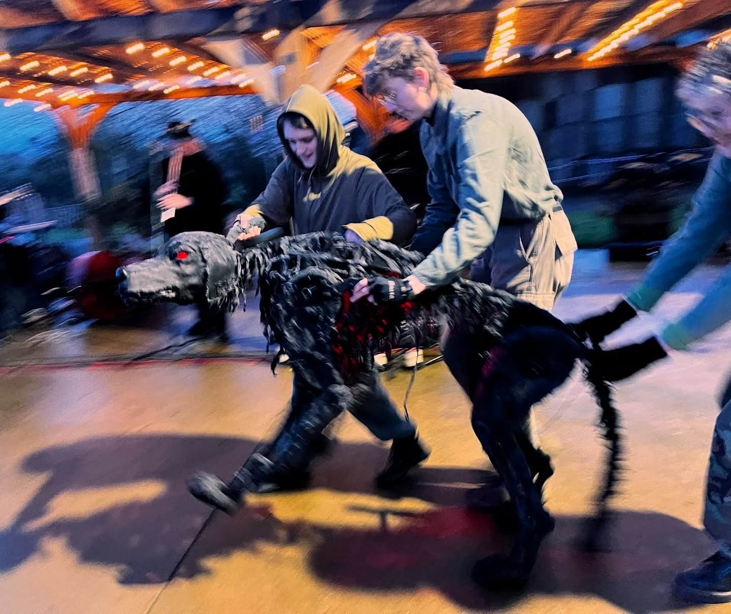 Wassailing with @blackthorn.ritualisticfolk yesterday at @newtoncourtcider
The Black Dog of Hergest was let out for a run around to wake up the apple trees!

Wonderful celebrations and wonderful cider 

Thank you Blackthorn for having us ! And thank 